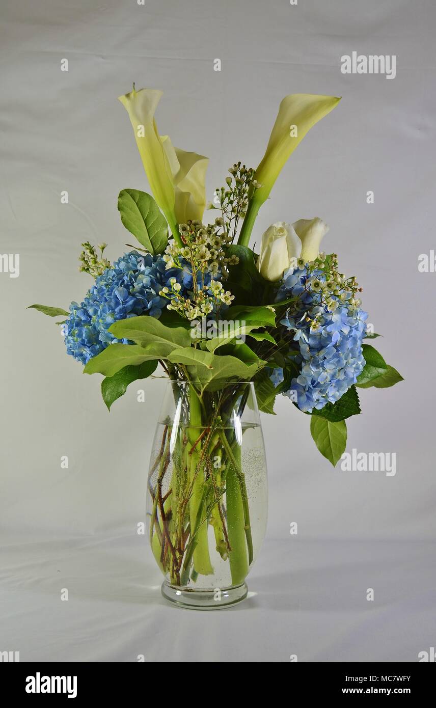 Bellissimo vaso di vetro alto pieno d'acqua e una disposizione di bei fiori e foglie verdi fresche. C'è uno sfondo semplice per gli spazi aperti. Foto Stock