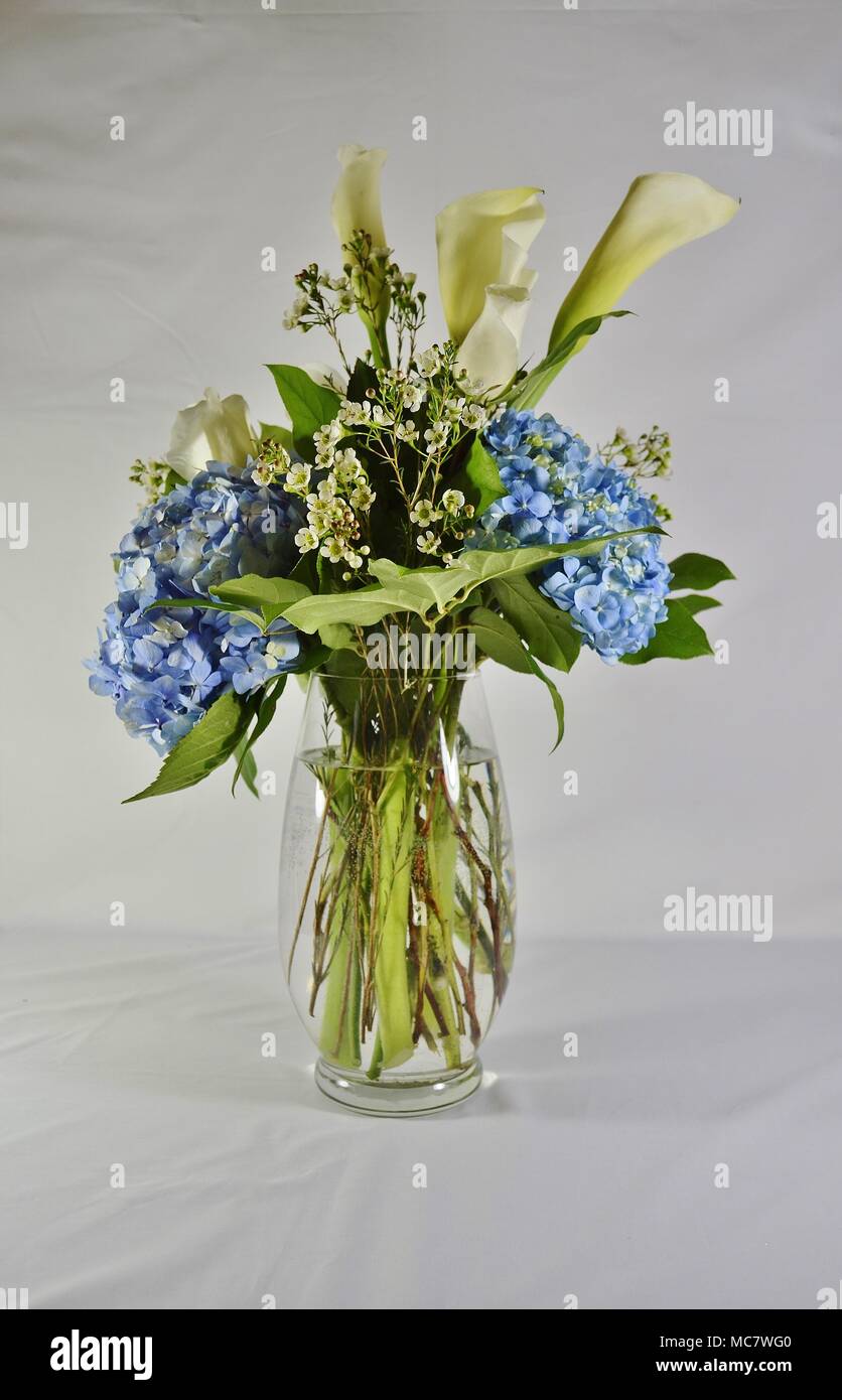 Bellissimo vaso di vetro alto pieno d'acqua e una disposizione di bei fiori e foglie verdi fresche. C'è uno sfondo semplice per gli spazi aperti. Foto Stock