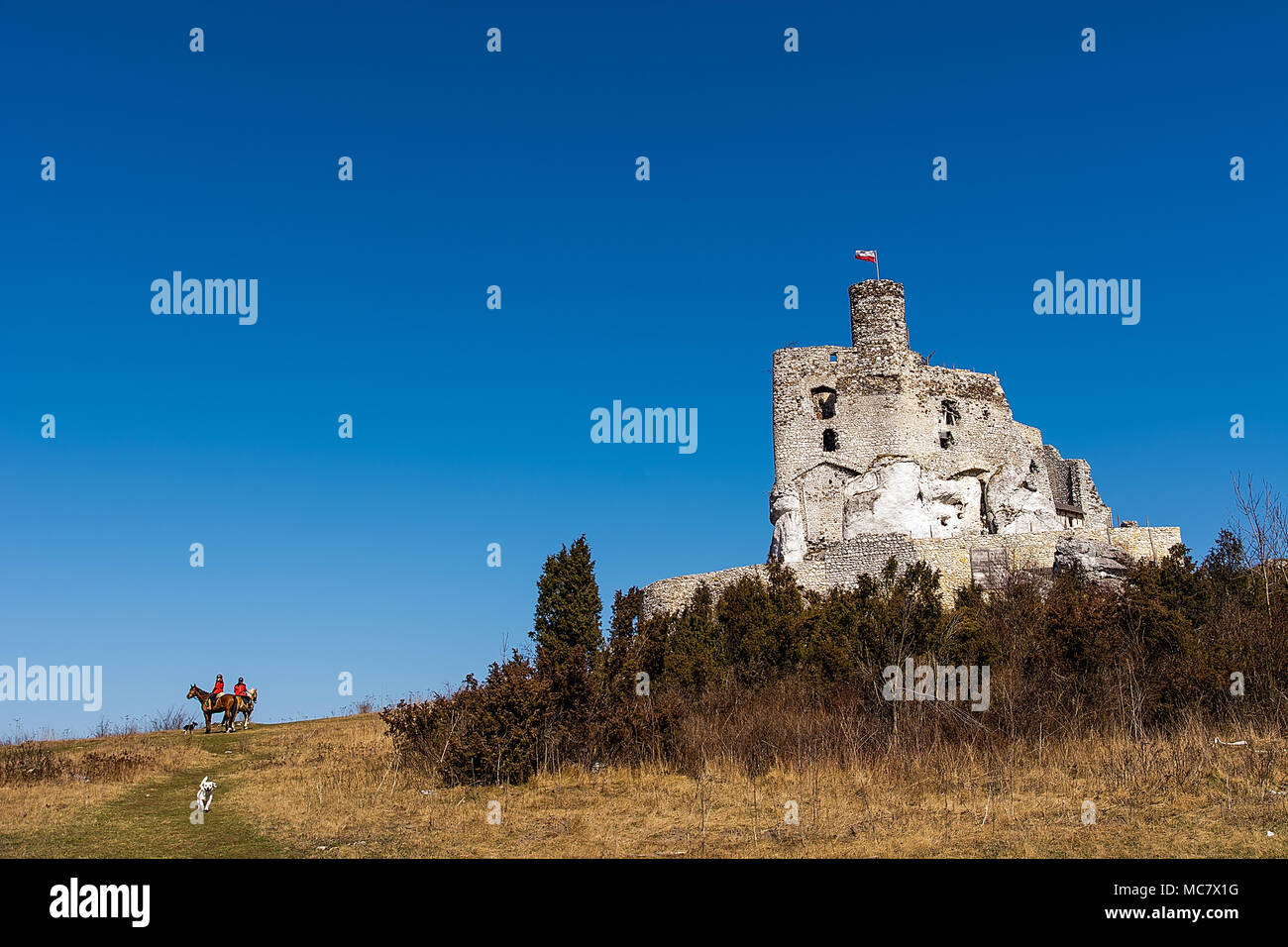 Le rovine del XIV secolo il castello di Mirów, nella Comunità di Niegowa. Foto Stock