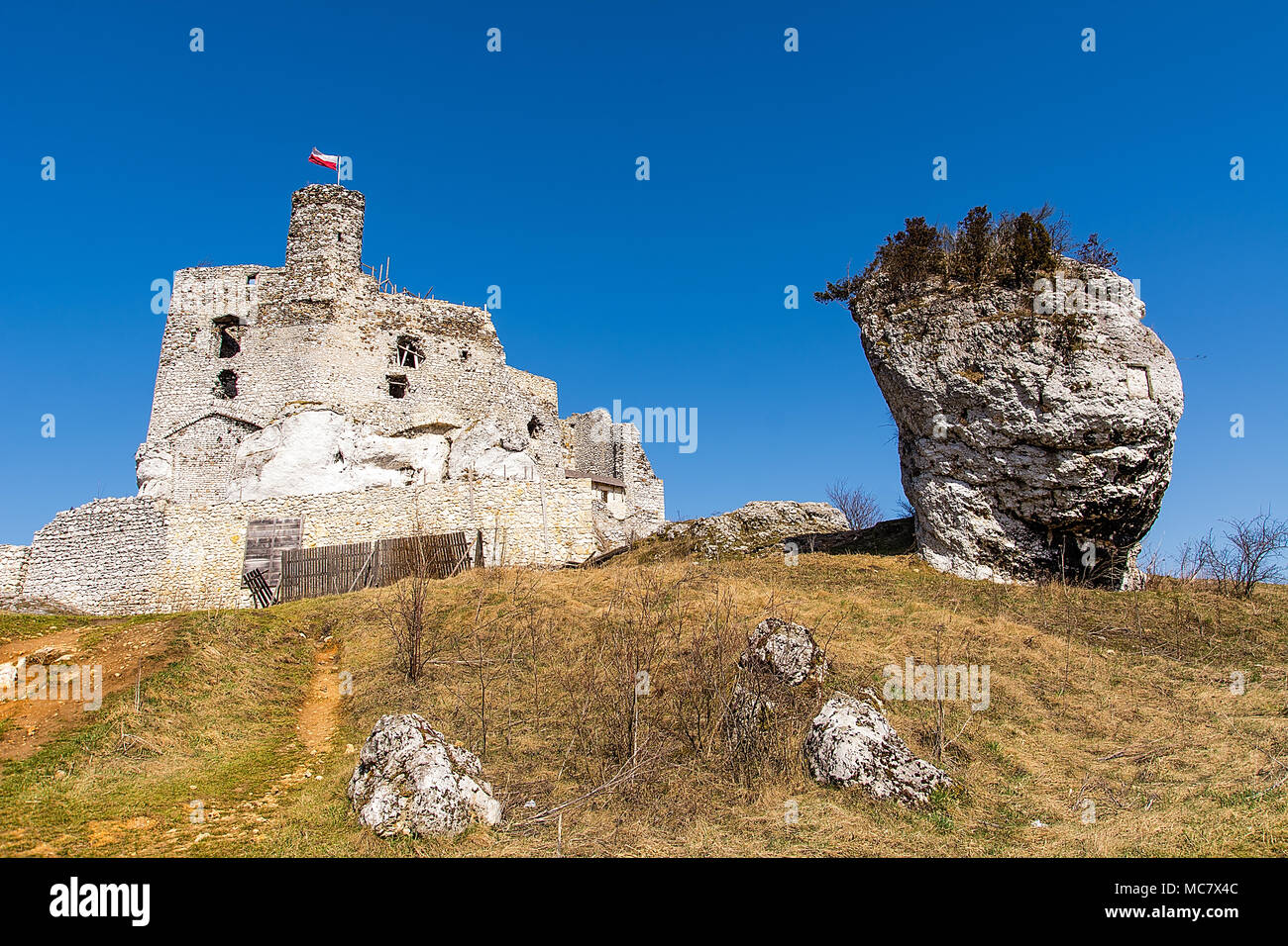 Le rovine del XIV secolo il castello di Mirów, nella Comunità di Niegowa. Foto Stock