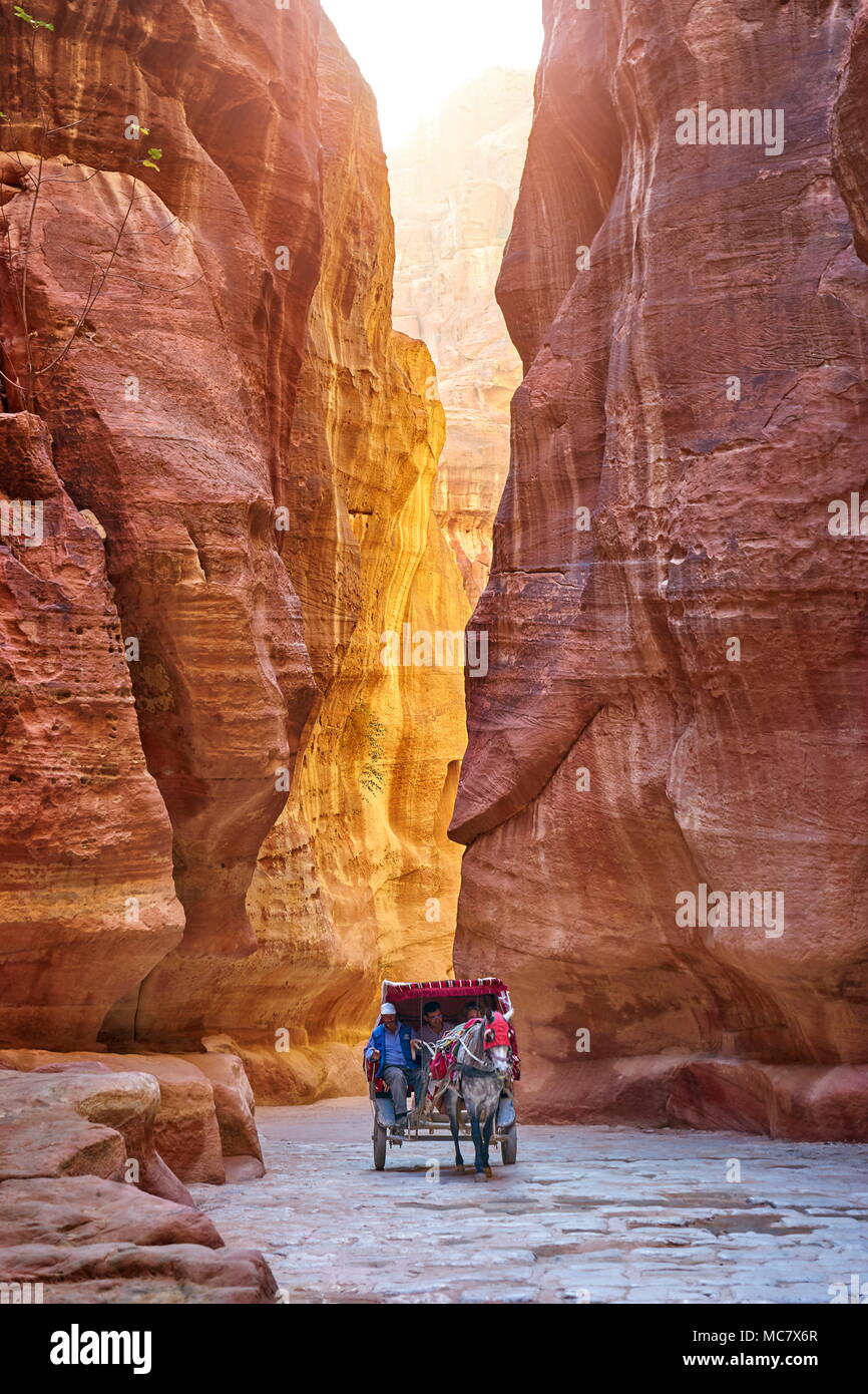 Carrozza a cavallo attraverso il Siq Canyon al tesoro, Petra, Giordania Foto Stock