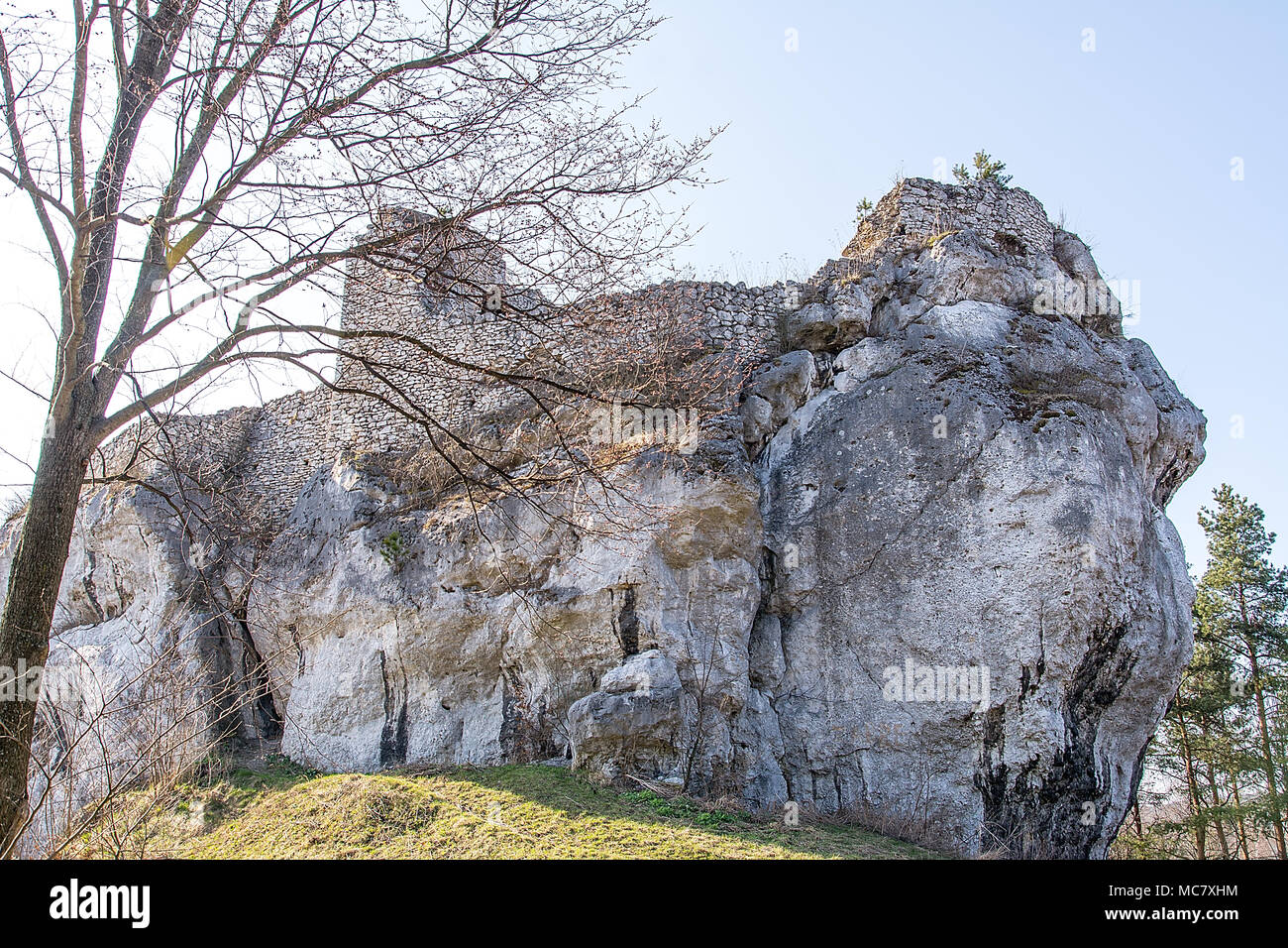 Rovine del Castello Bakowiec dal XIV secolo in Morsko (Polonia) Foto Stock