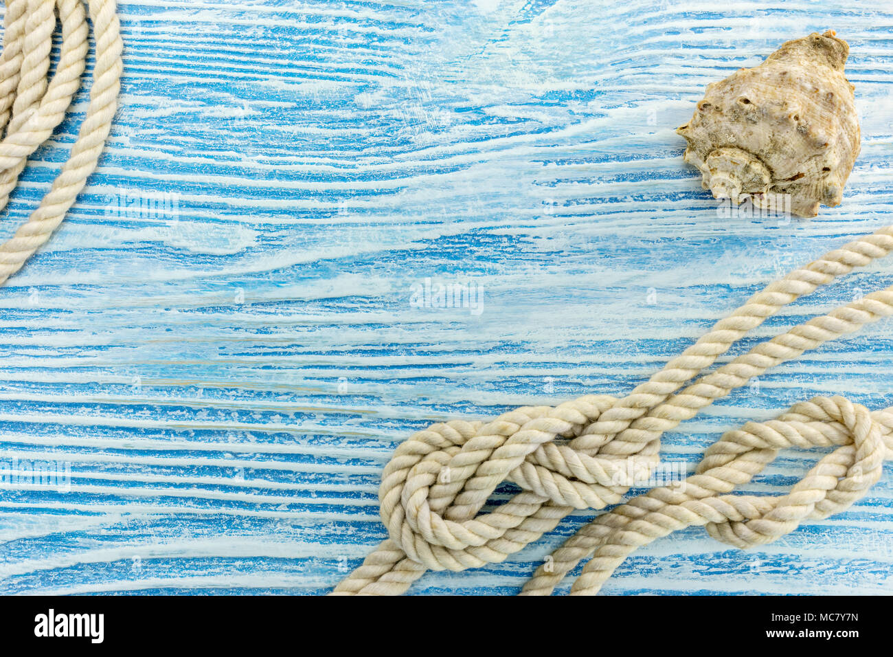 Seashell e corda con nodi marini su graffiato verniciato blu sullo sfondo di legno. vista da sopra Foto Stock