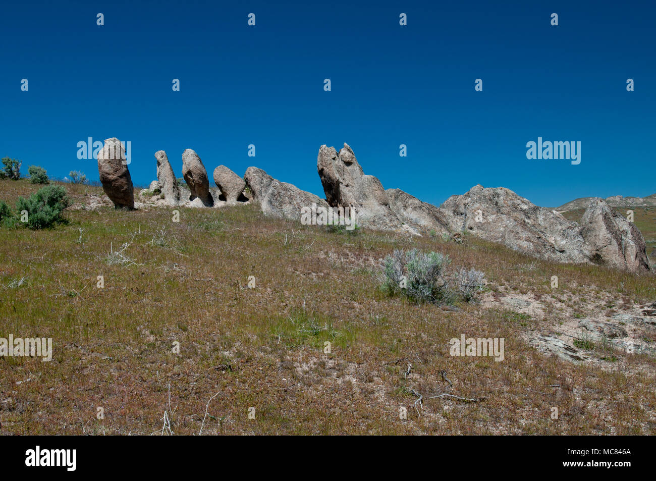 Cretaceo affioramenti granodiorite (simile al granito ma con più plagioclase feldspar), un valore erratico dell'Idaho Batholith in western Elmore County, Foto Stock