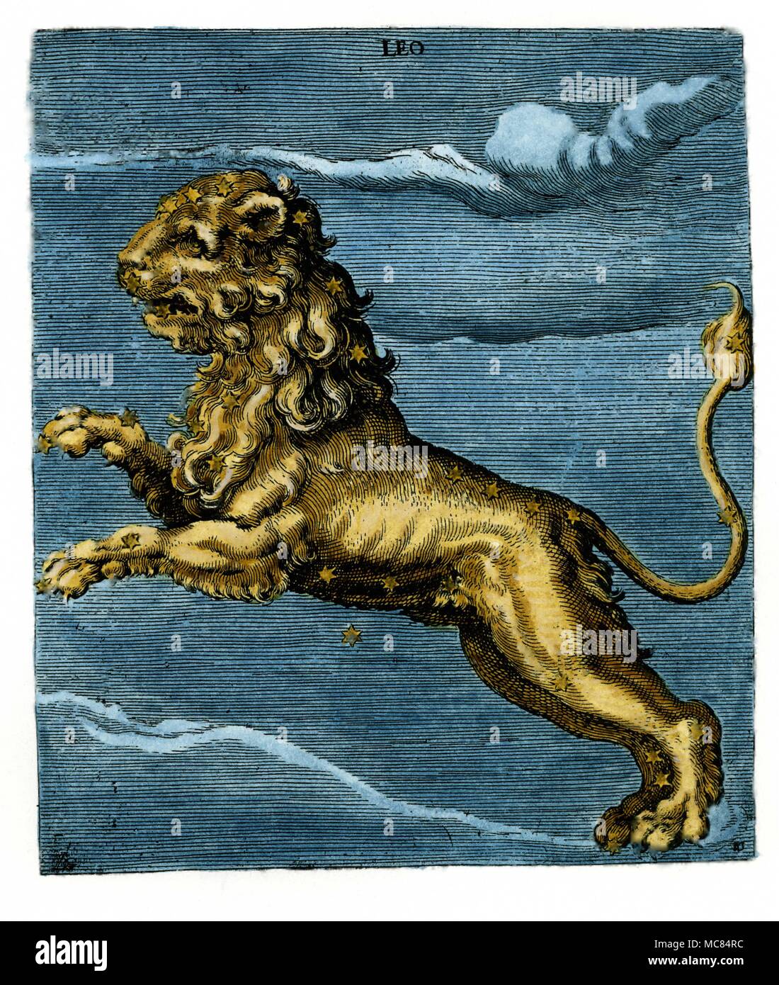 Leo Lion, da un diciassettesimo secolo colorate a mano incisione, della stessa sulla base del nono secolo copia di arato in Leiden. Arato è nato a soli circa 315 BC e scrisse il suo libro sulle stelle per Antigonus Gonatus, il dominatore della Macedonia. Foto Stock