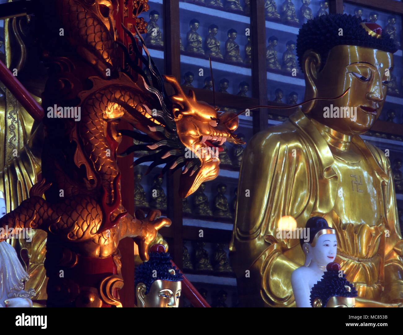 Mitologia cinese il culto del drago può essere ricondotto alla preistoria. Dragon nella parte anteriore del gigante Buddha nel tempio dei mille Buddha Sha Tin Foto Stock