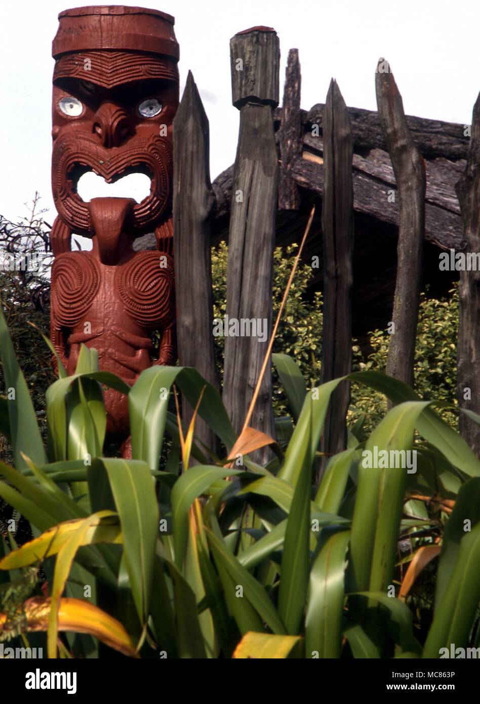 Un MAORI Tekoteko tradizionale (figura scolpita) raffigurante un guerriero sulla palizzata a Whakarewarewa, Rotorua Foto Stock