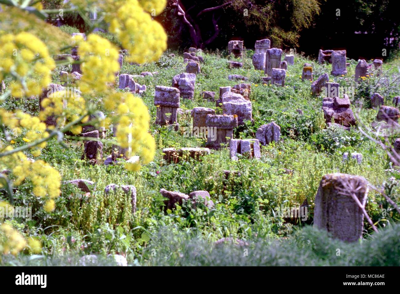 Tunisia tombe e monumenti commemorativi in Tofet, nei pressi di Cartagine (moderno a Tunisi) dove fu il luogo di sepoltura di quelli sacrificati agli antichi dèi cartaginese è conservato, lungo con un acqua-bound ipogeo Foto Stock