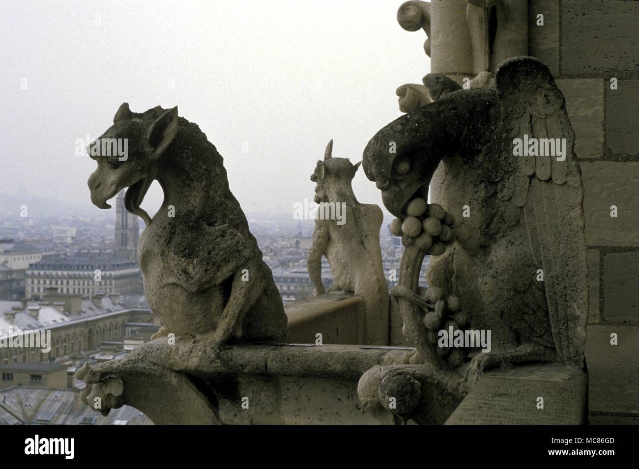 GARGOYLE demoniaco gargoyle sul (facciata) torre della cattedrale di Notre Dame di Parigi medievale. Foto Stock