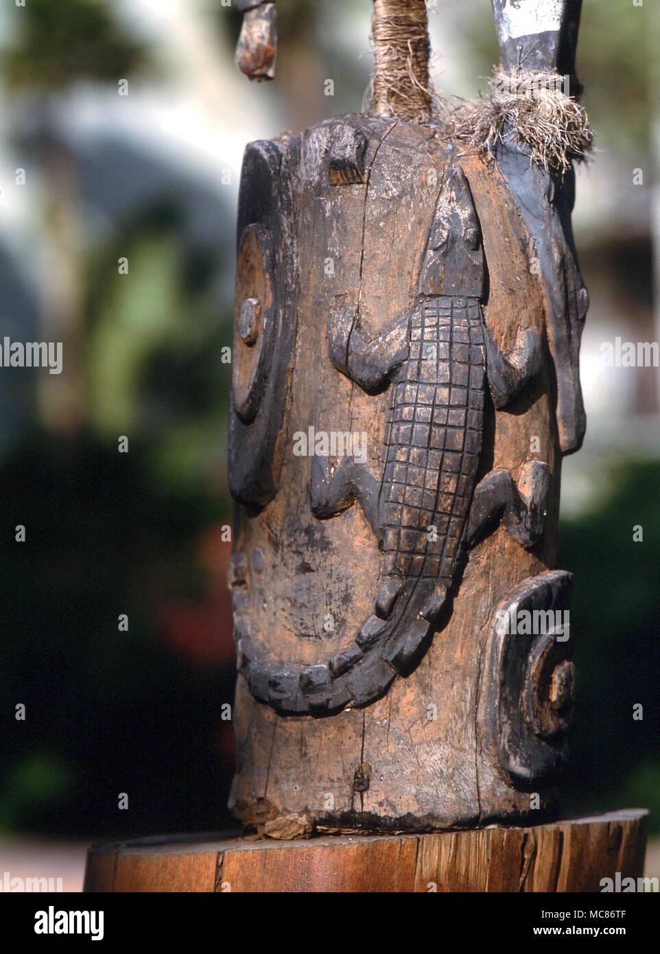 La mitologia Polynesian Polynesian in legno statua magica di una lucertola, scolpite sul corpo di una figura mitologica. collezione privata, Hawaii Foto Stock
