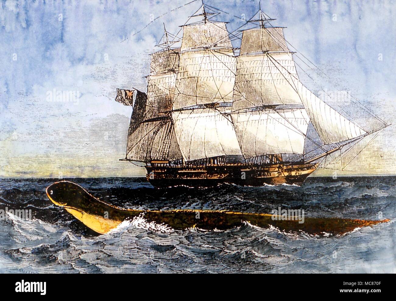Mostri - XIX secolo incisione che mostra il serpente marino avvistato da la fregata HMS Daedalus, tra St Helena e Capo di Buona Speranza, Agosto 1848 Foto Stock