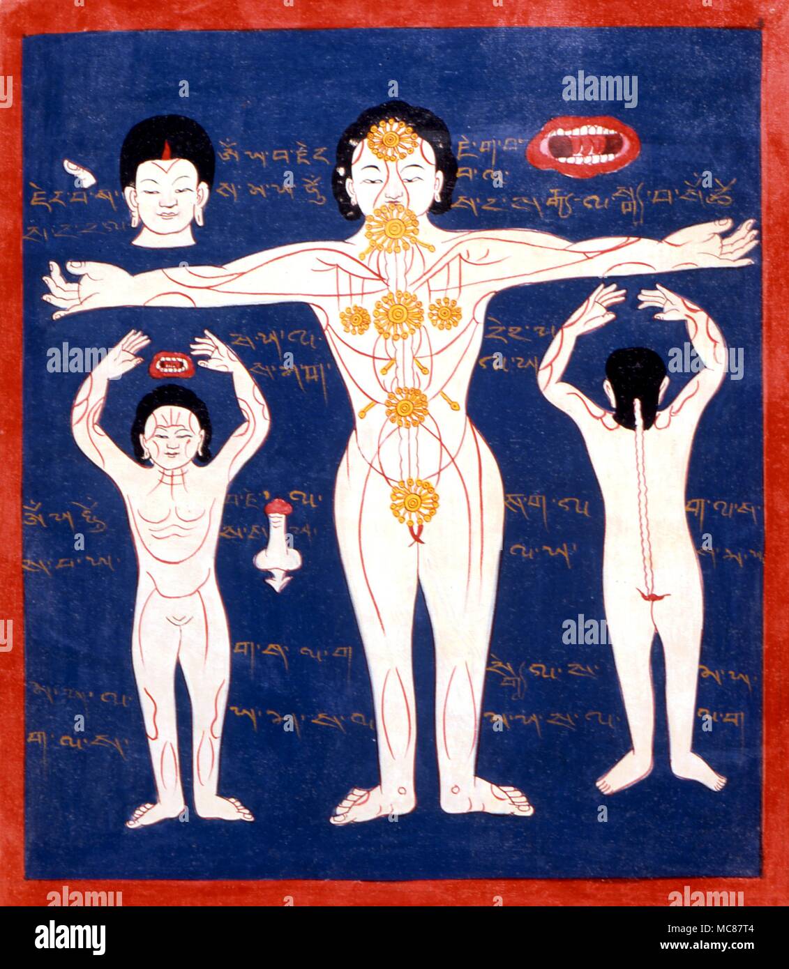 Chakra Napalese pittura che mostra i chakra e i vari simboli relativi al corpo spirituale dell uomo moderno basato su Tibetab originale Foto Stock