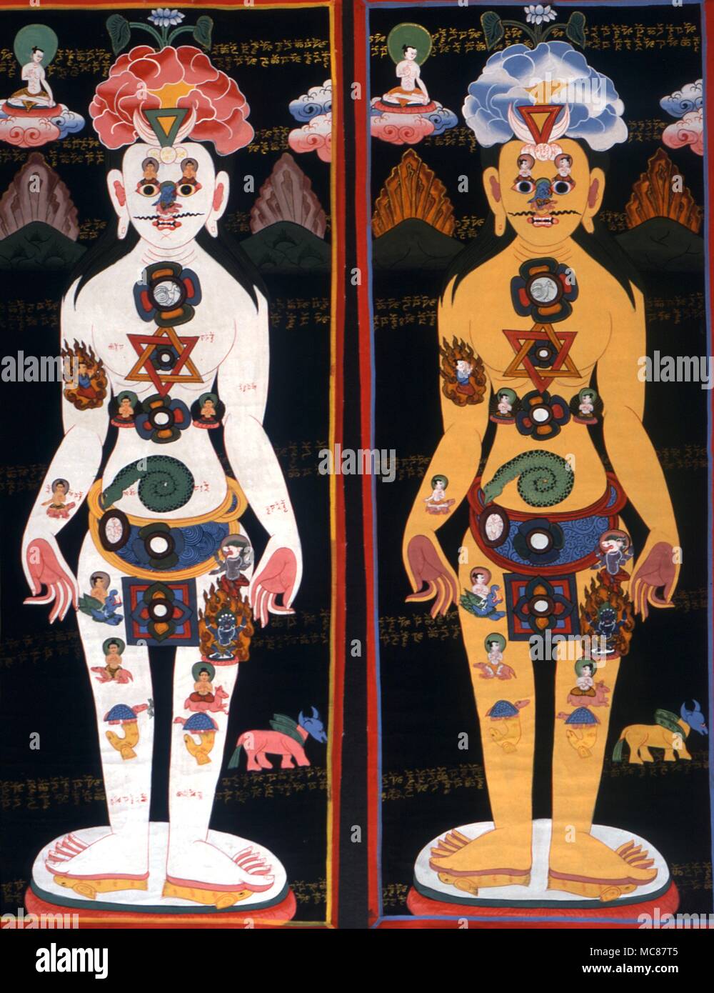 Chakra Coppia di uomini cosmici dei nepalesi in tradizionale stile tibetano raffiguranti i sette chakra e vari simboli spirituali relative all'umano privato constititution coll acquistati in Nepal Foto Stock