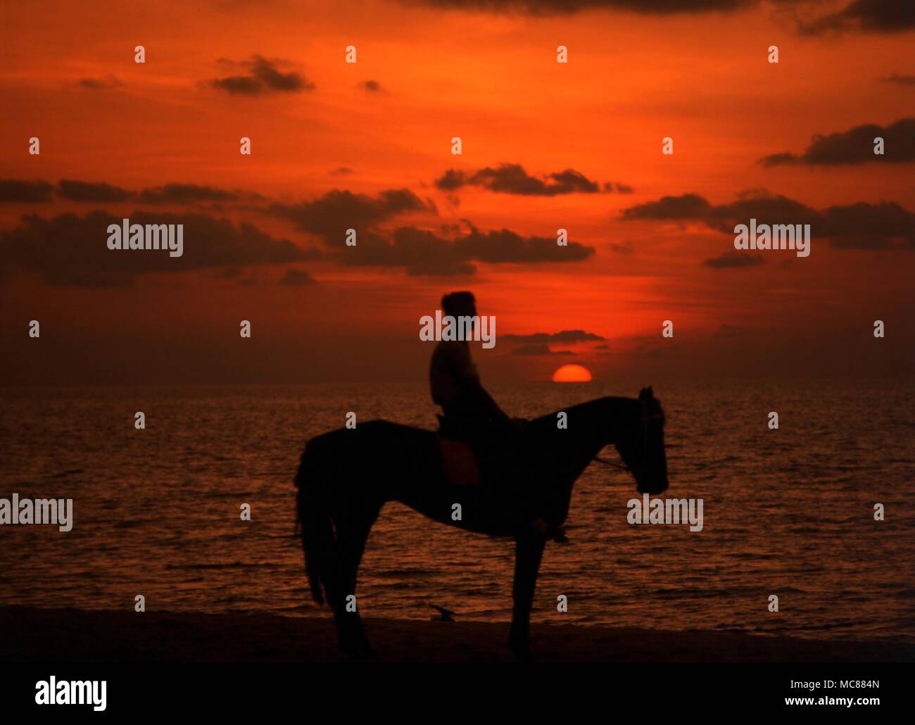 Umori di natura. Tramonto sulla spiaggia con cavallo e cavaliere. Foto Stock