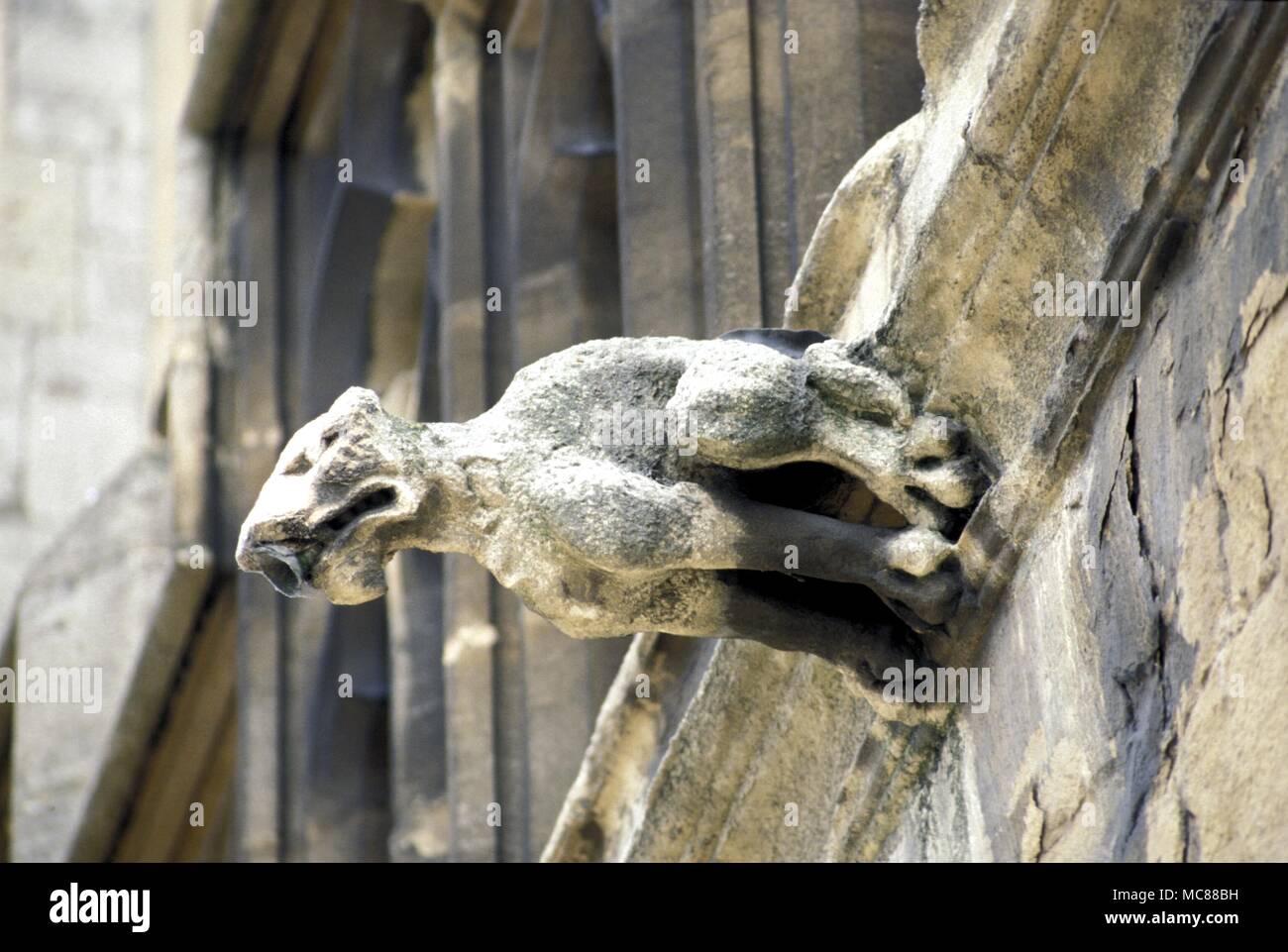 GARGOYLE sulla torre della cattedrale di Gloucester Foto Stock