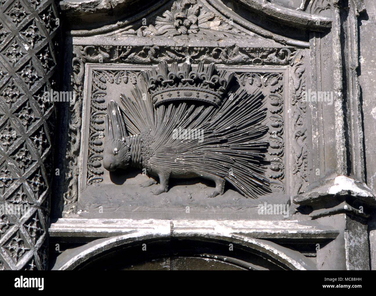 Porcospino il porcospino con la corona regale è l emblema del re Luigi XII. Scolpiti sulla parete del castello di Blois Foto Stock