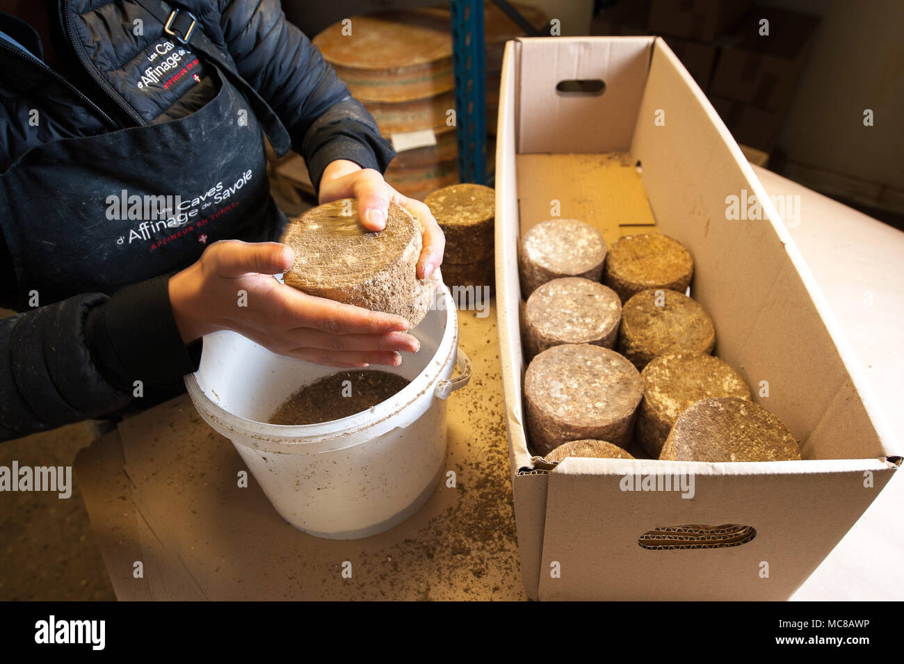 Rognaix (Alpi francesi, a sud-est della Francia). Impresa "Les Caves d'Affinage de Savoie", formaggio maturatori. Rognaix (Alpi francesi, a sud-est della Francia). Co Foto Stock