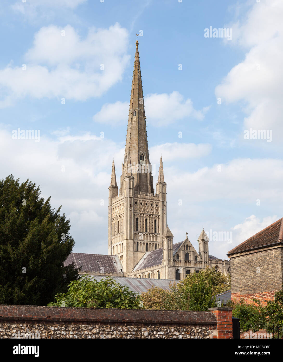 Una vista del campanile della cattedrale di Norwich, Norfolk, Inghilterra, Regno Unito Foto Stock