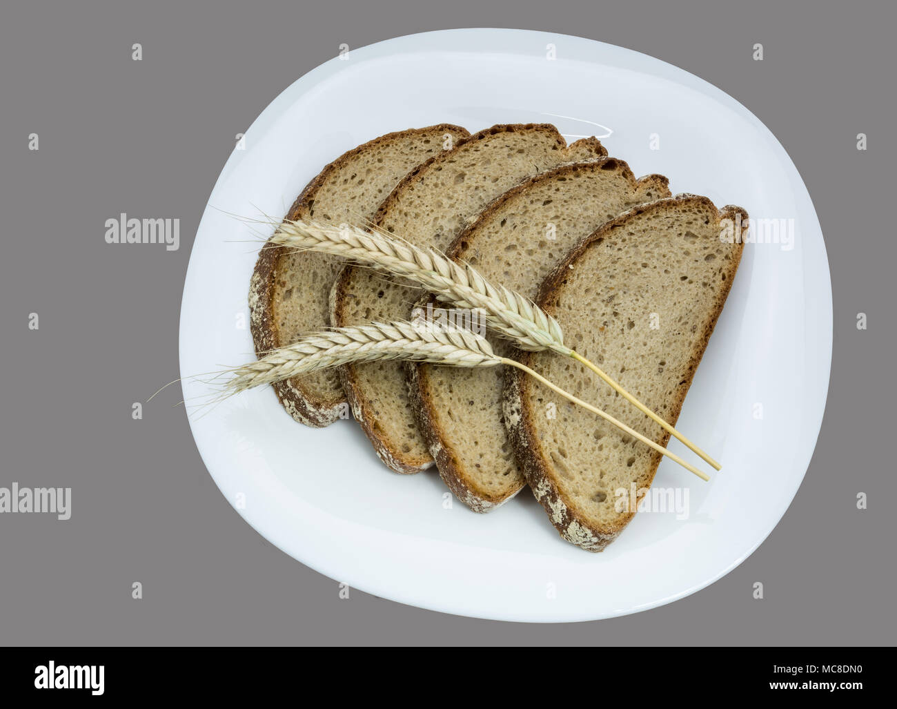 Fette di pane e cereali e spike su una piastra bianca. Quattro fette di pane integrale con una decorazione a secco di orzo. Isolato su sfondo grigio. Foto Stock