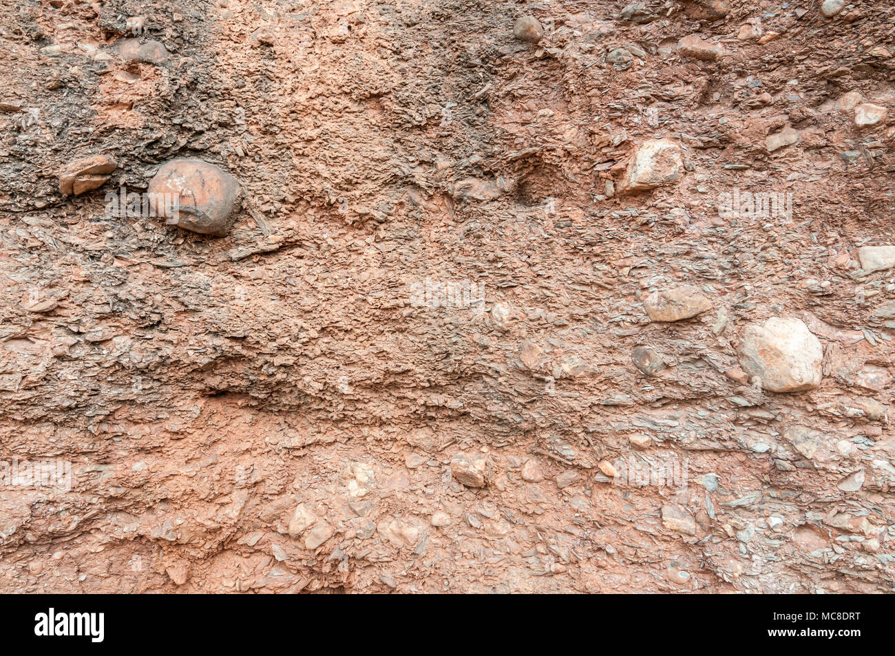 Vista del conglomerato, geologia, rock, Matadepera, la Catalogna Foto Stock