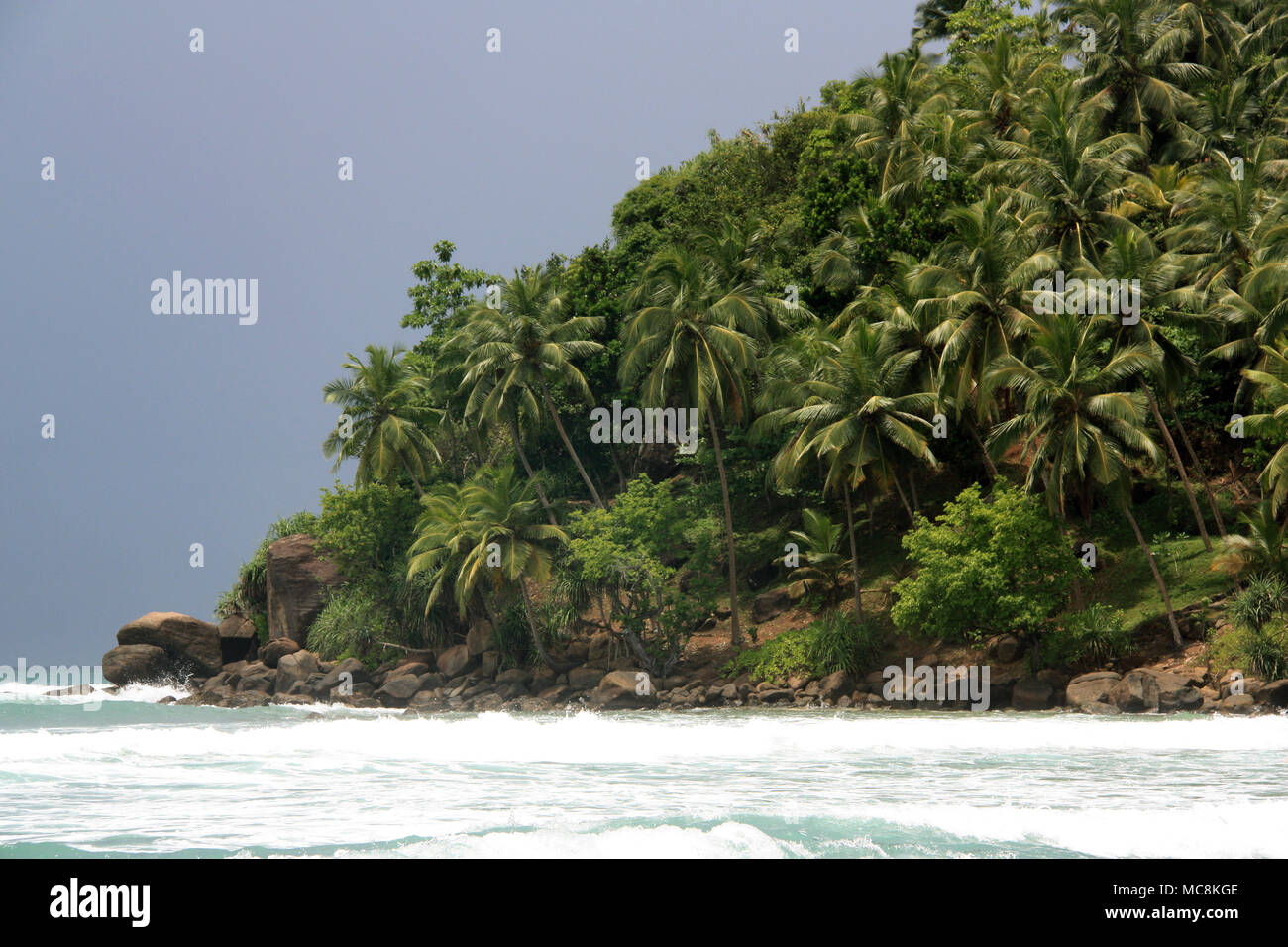 Spiaggia di Mirissa, Sri Lanka: Turquois acqua, sabbia fine, onde per il surf, sparse con splendide rocce e rivestiti con palme da cocco. Paradiso! Foto Stock