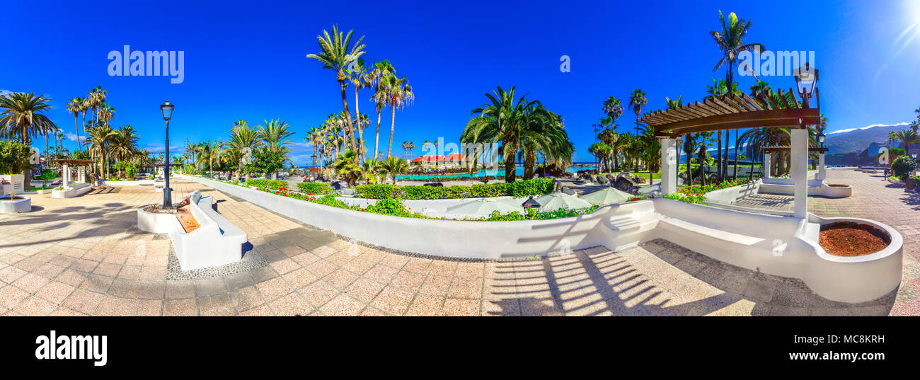 Puerto de la Cruz, Tenerife, Isole Canarie, Spagna: Lungomare giardini di palme vicino Lago Martianez Foto Stock