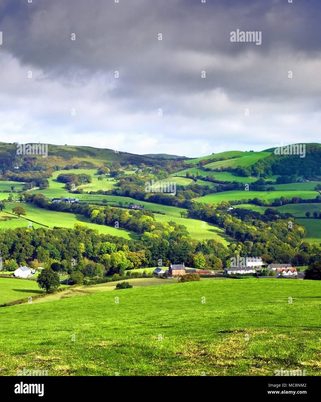 Una tarda estate vista del paesaggio verde di Powys, Galles. come un suggerimento di autunno diventa evidente. Foto Stock