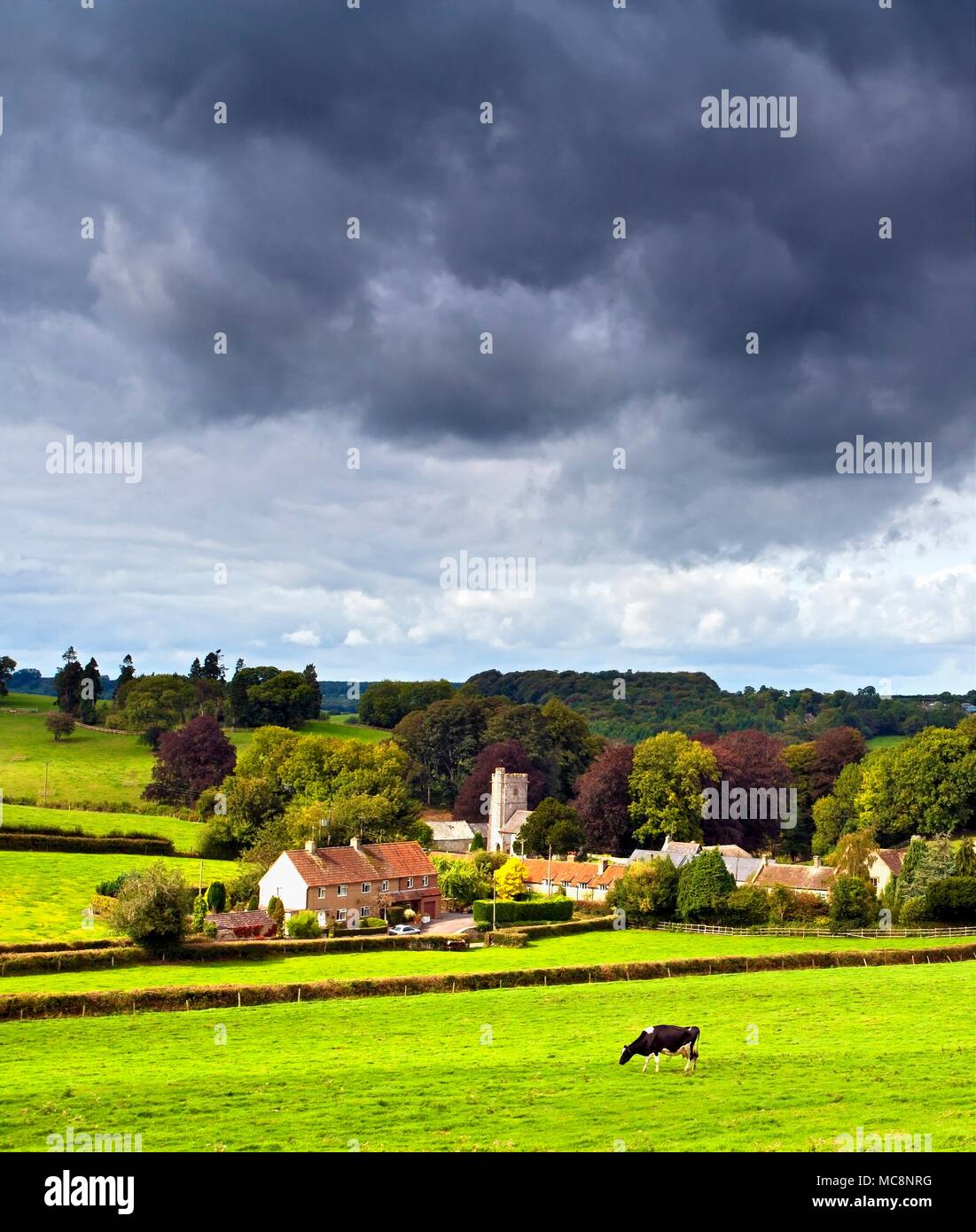Una vista estiva del pittoresco villaggio di Whitestaunton nelle zone rurali del Somerset, Inghilterra. Foto Stock