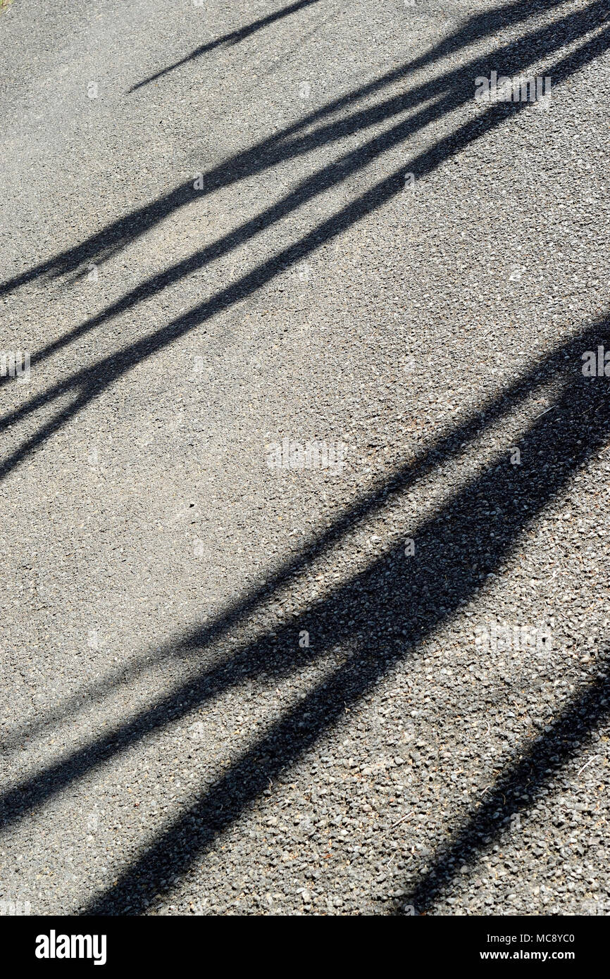 Impazzano le ombre su asfalto Foto Stock