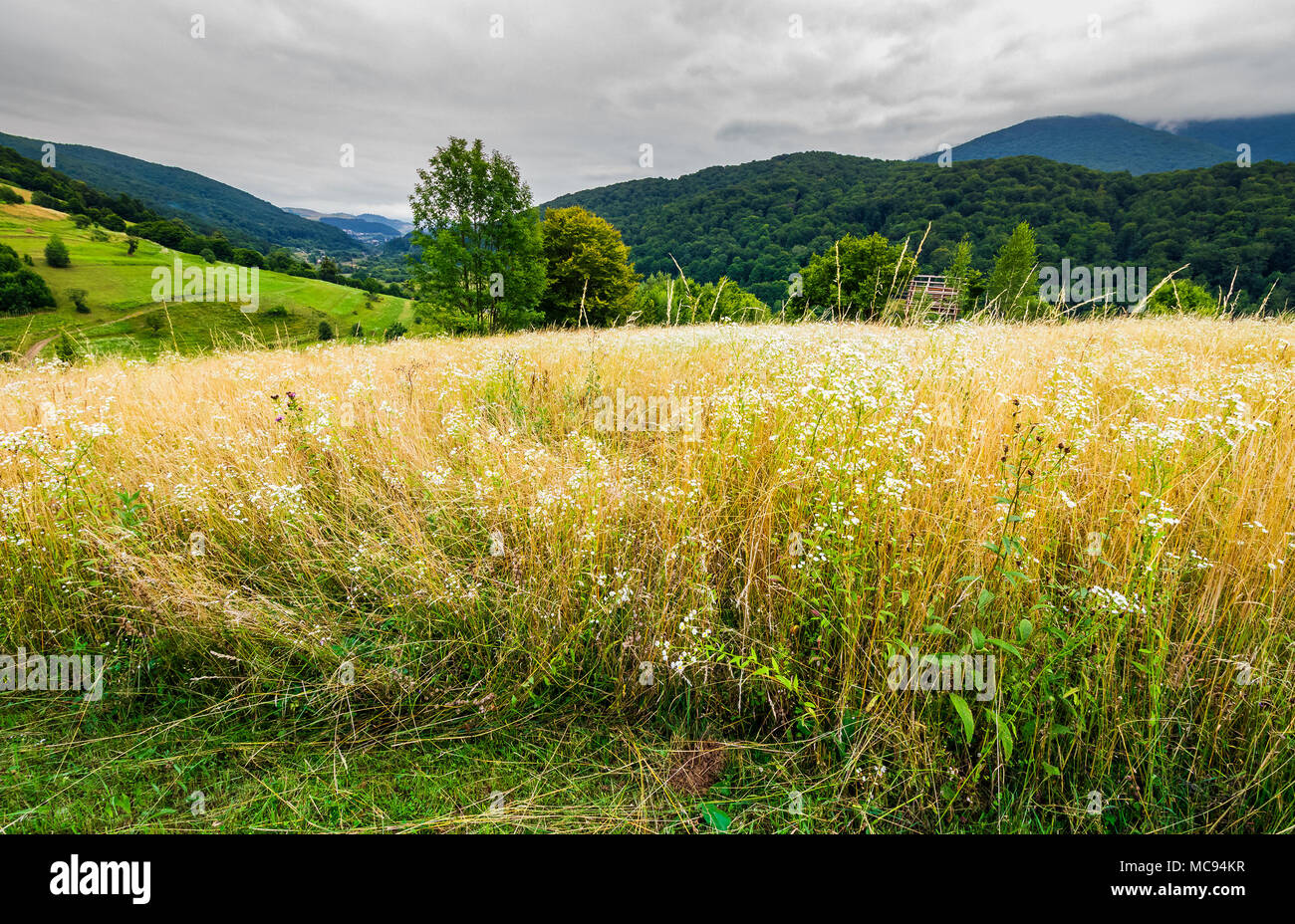 Campo rurale su una collina in montagna. incantevole paesaggio rurale Foto Stock