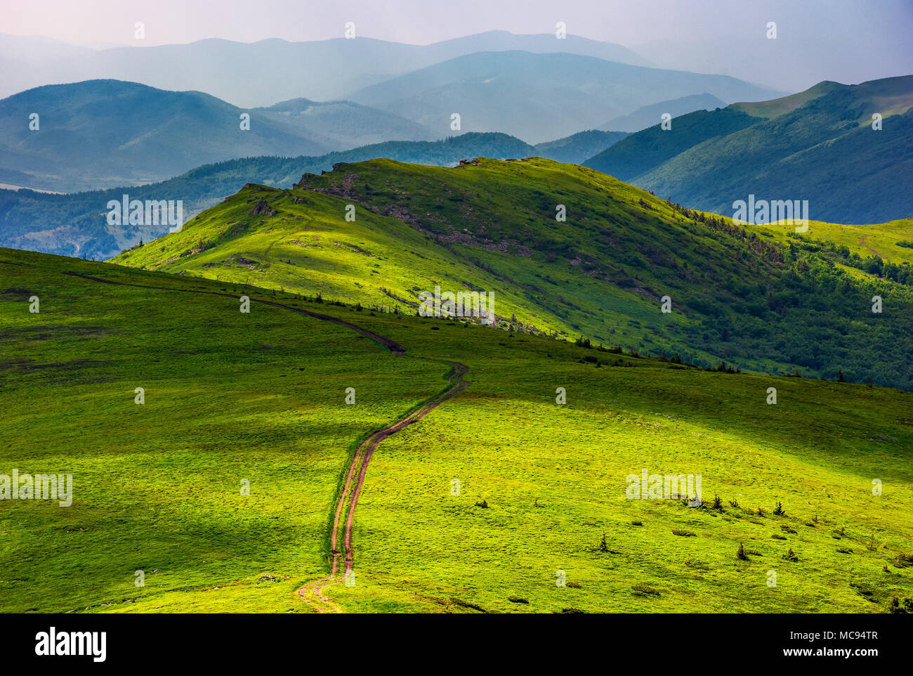 Percorso attraverso il prato erboso sulla collina. bellissimo paesaggio estivo di grande acqua dei Carpazi cresta divisoria. Ubicazione TransCarpathia, Ucraina Foto Stock