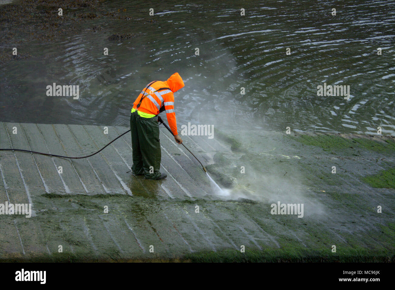 Consiglio, autorità locali, lavoratore di lavaggio a pressione le alghe di scalo a bassa marea, indossando il corretto abbigliamento protettivo. Foto Stock