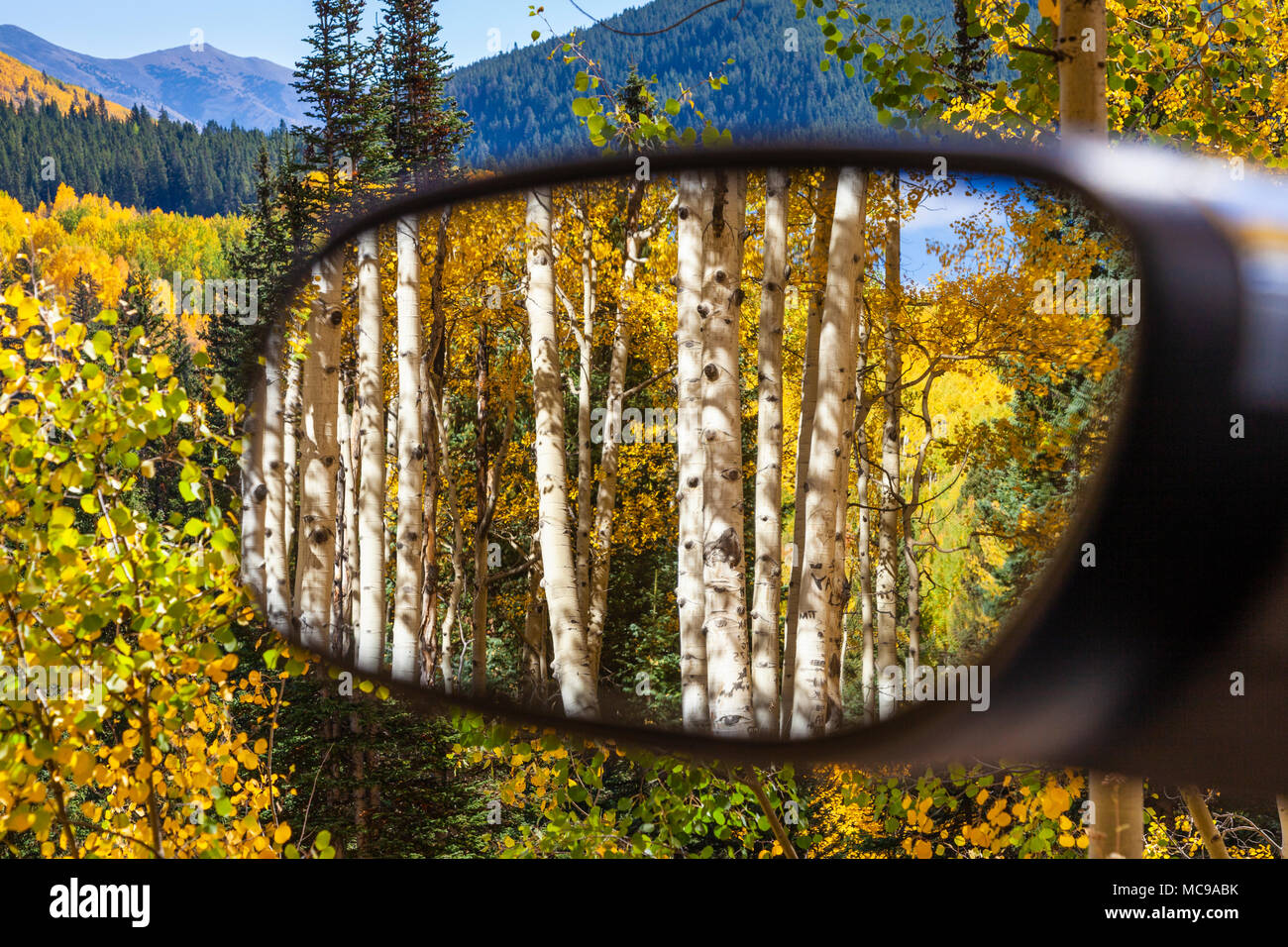 Riflessi nello specchio del colore autunnale con Aspens Turning - lungo la strada dell'Ohio Pass tra Gunnison e Crested Butte, Colorado. Foto Stock