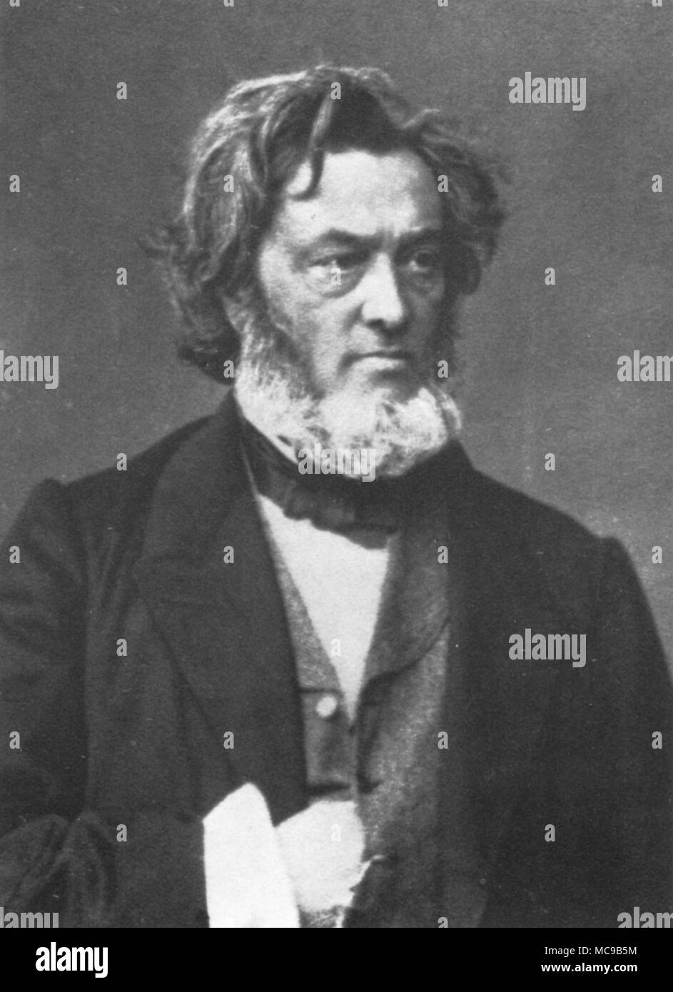 Jules Claude Gabriel Favre (1809 - 1880) statista francese. Foto Stock