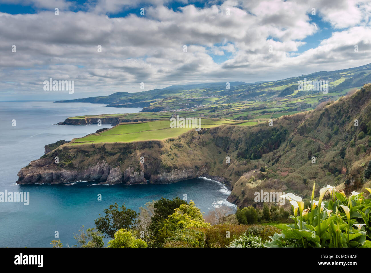 Vista aerea. Rocky paesaggi costieri a Sao Miguel Island, Azzorre, Portogallo. Foto Stock