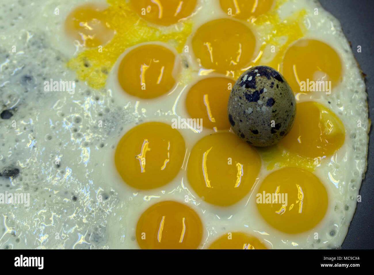 Per le uova fritte e mettere in tegame bollente Foto Stock