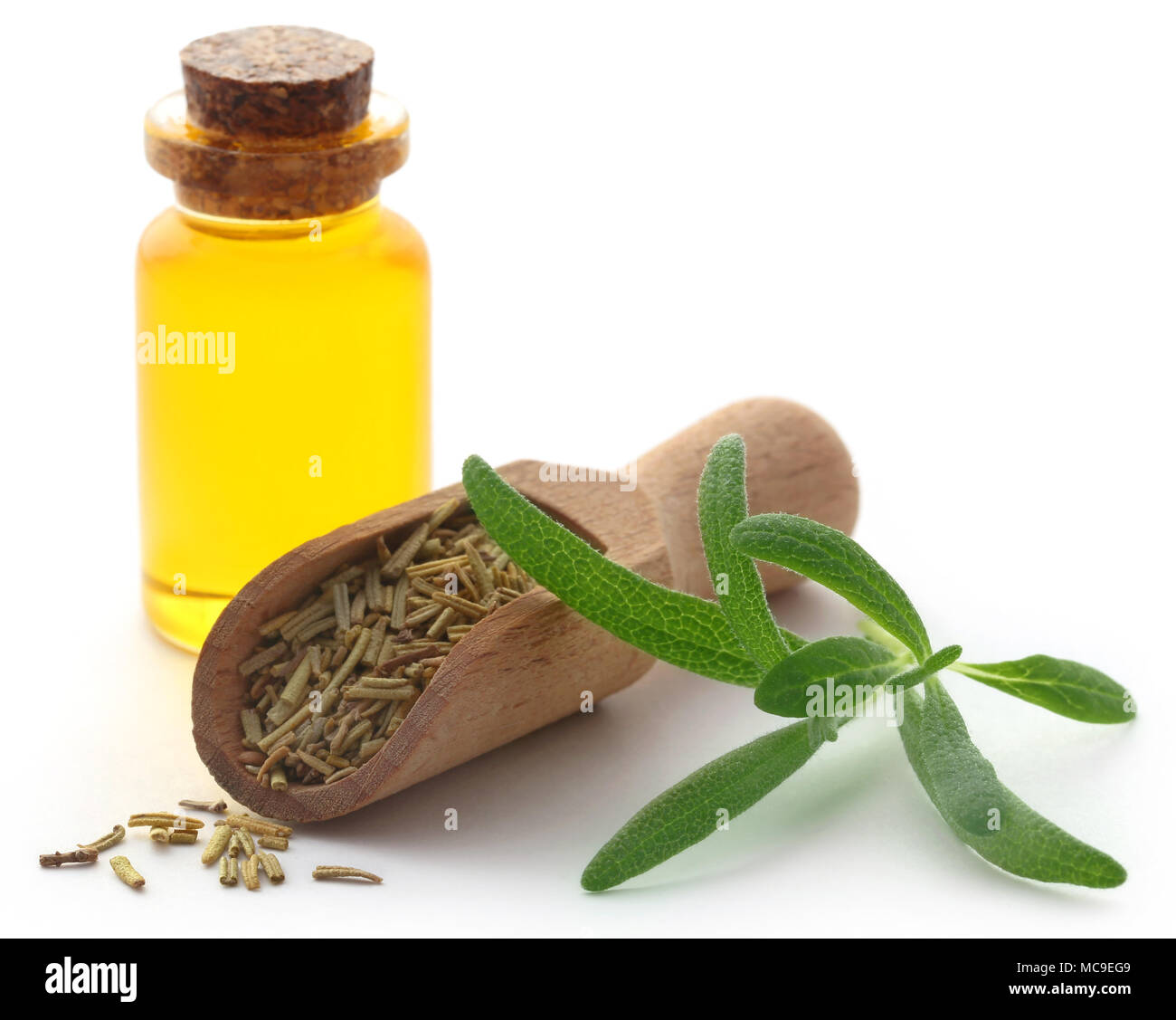 Organici essiccati con rosmarino olio essenziale su sfondo bianco Foto Stock