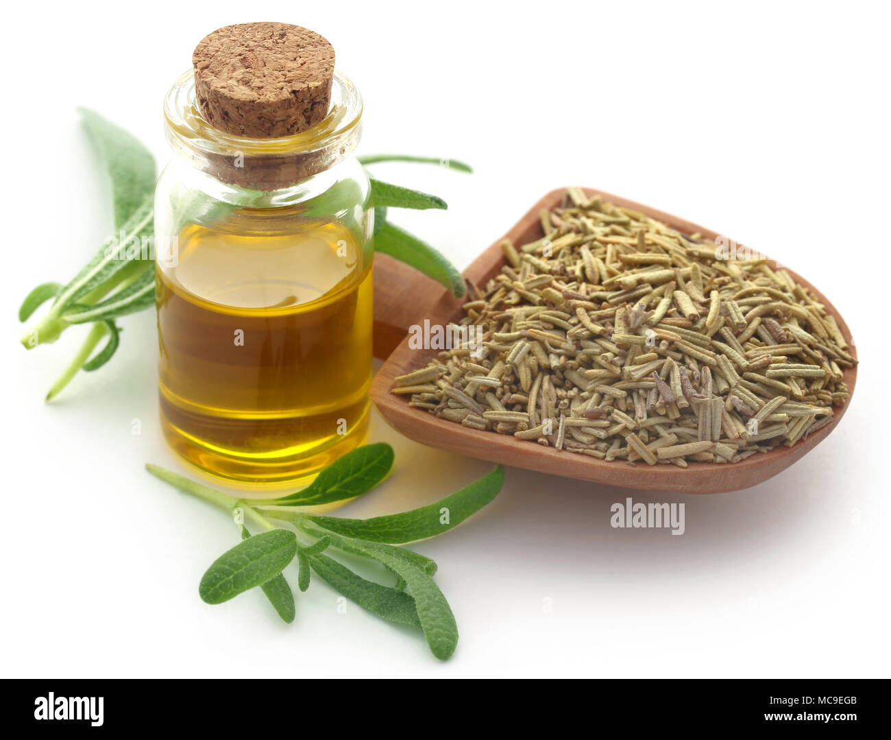 Organici essiccati con rosmarino olio essenziale su sfondo bianco Foto Stock