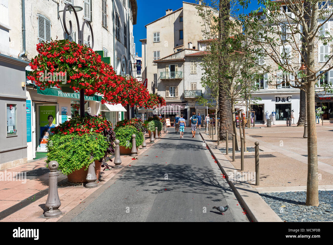 Strada stretta decorata con fiori e piante nella città vecchia di Antibes - Mediterraneo resort sulla Costa Azzurra in Francia. Foto Stock