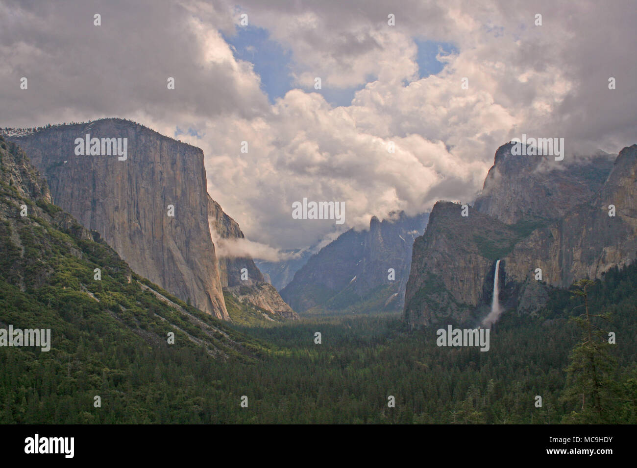 El Capitan, il Parco Nazionale di Yosemite Foto Stock