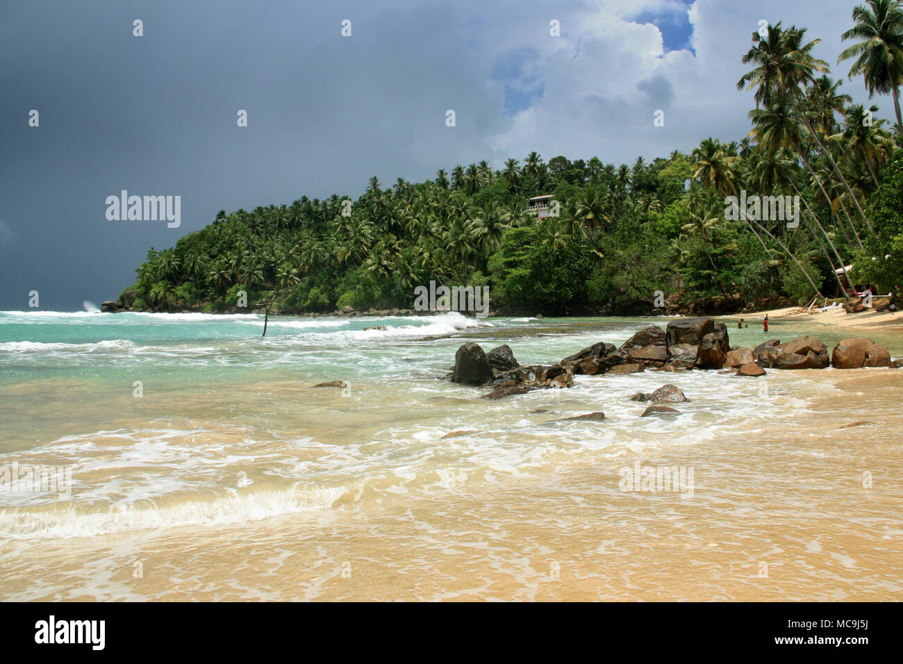 Spiaggia di Mirissa, Sri Lanka: Turquois acqua, sabbia fine, onde per il surf, sparse con splendide rocce e rivestiti con palme da cocco. Paradiso! Foto Stock