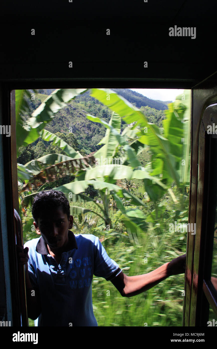 Un panoramico giro in treno da Ella a Kandy, passando alcune piante di banana. Uomo in piedi nel aprire lo sportello del carrello. Foto Stock