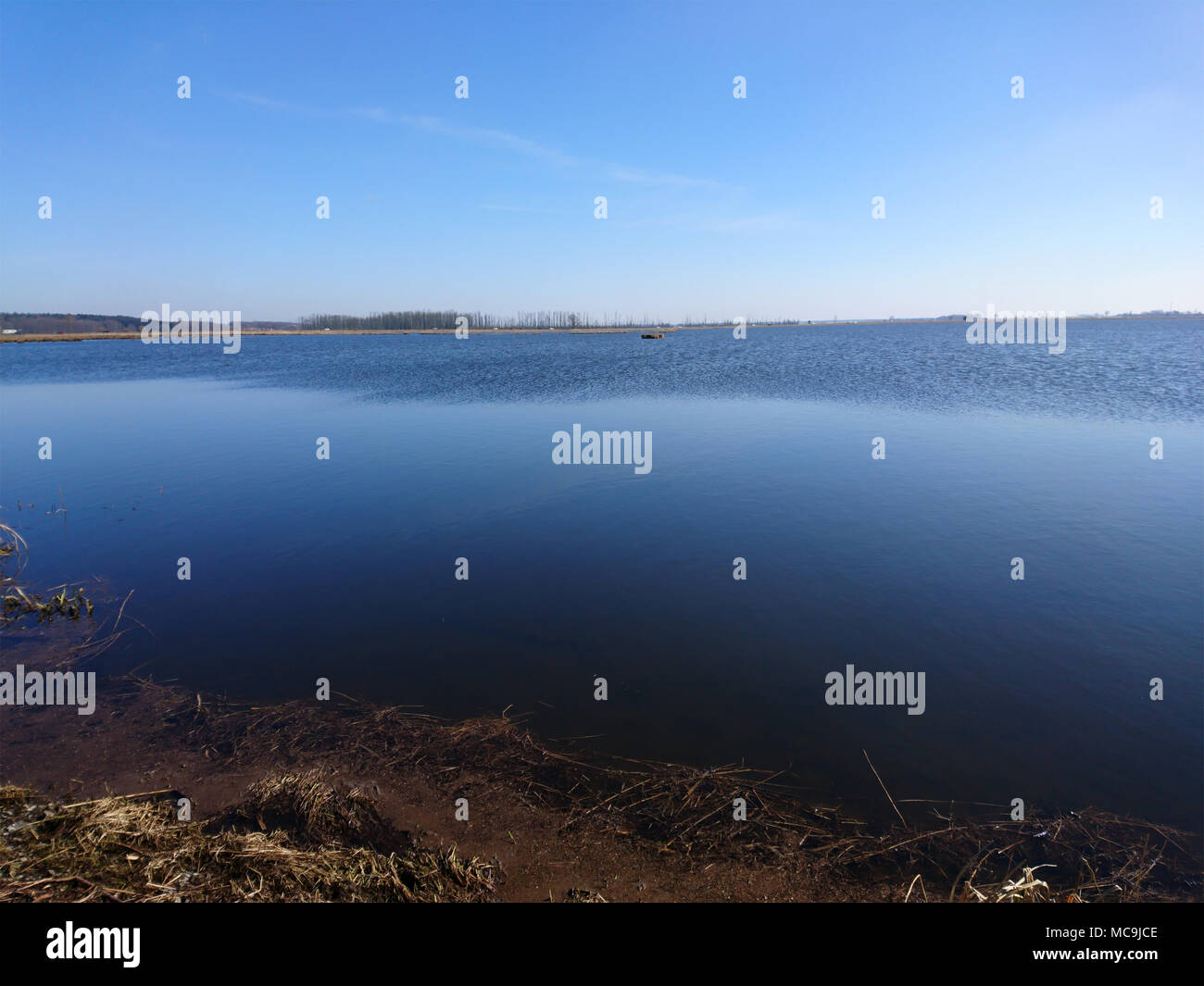 Vogelschutzgebiet Insel Usedom Foto Stock