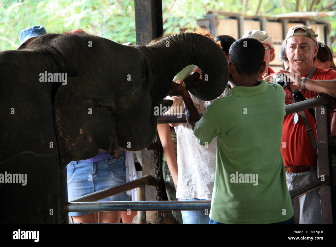 Sri Lanka Foto Stock