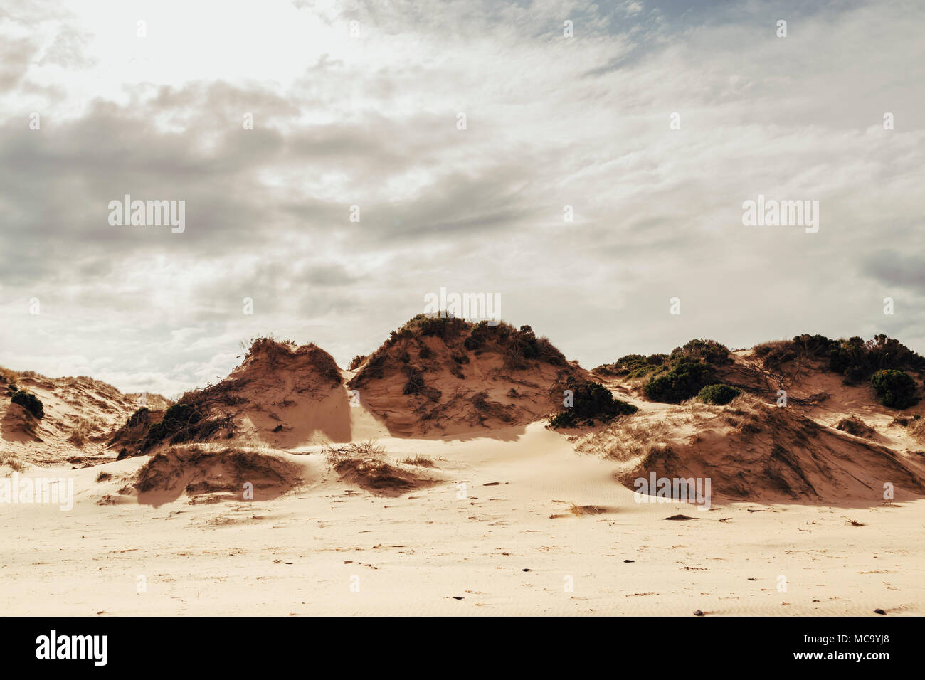 Cape Woolamai, Phillip Island, Victoria, Australia Foto Stock