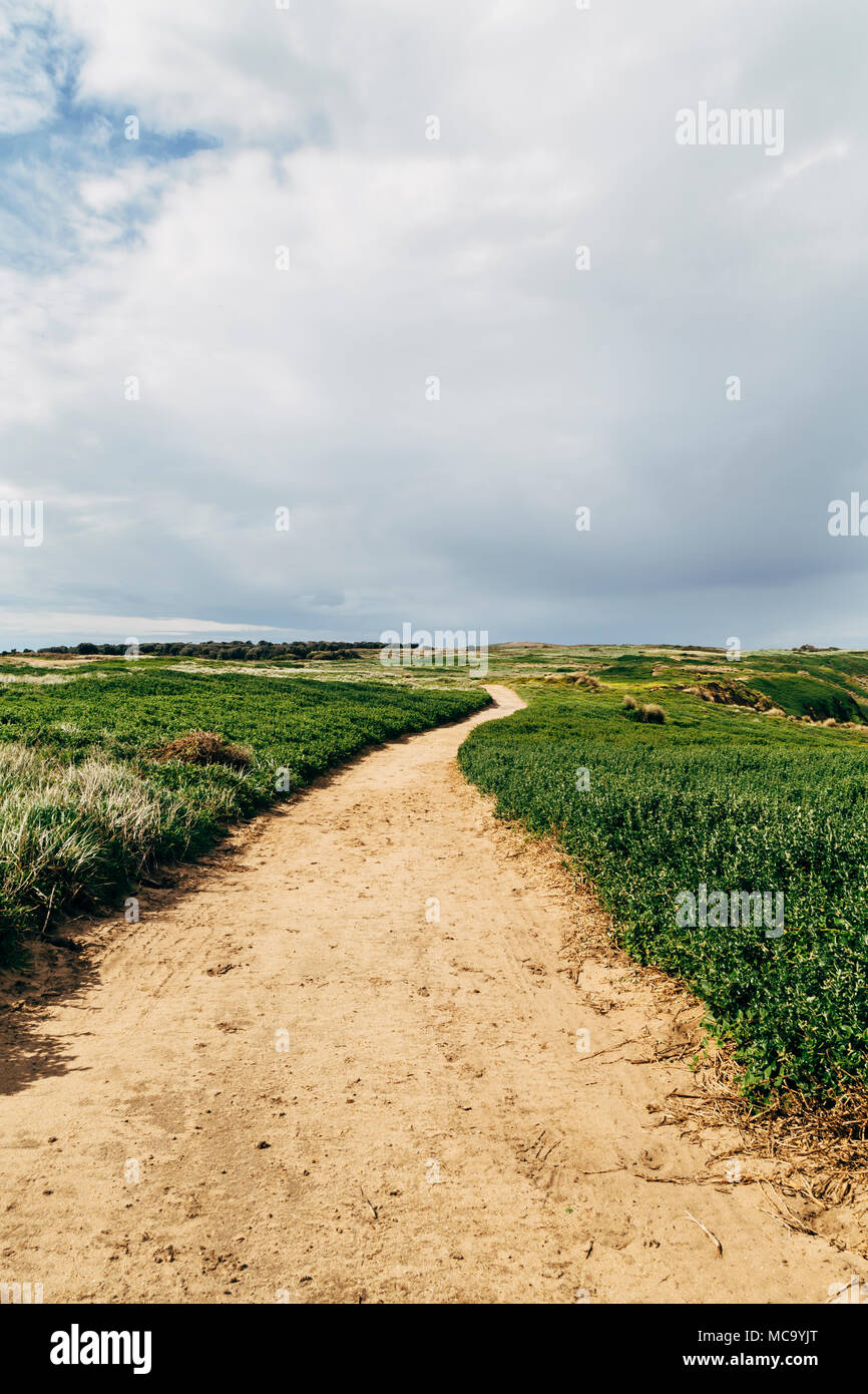 Cape Woolamai, Phillip Island, Victoria, Australia Foto Stock