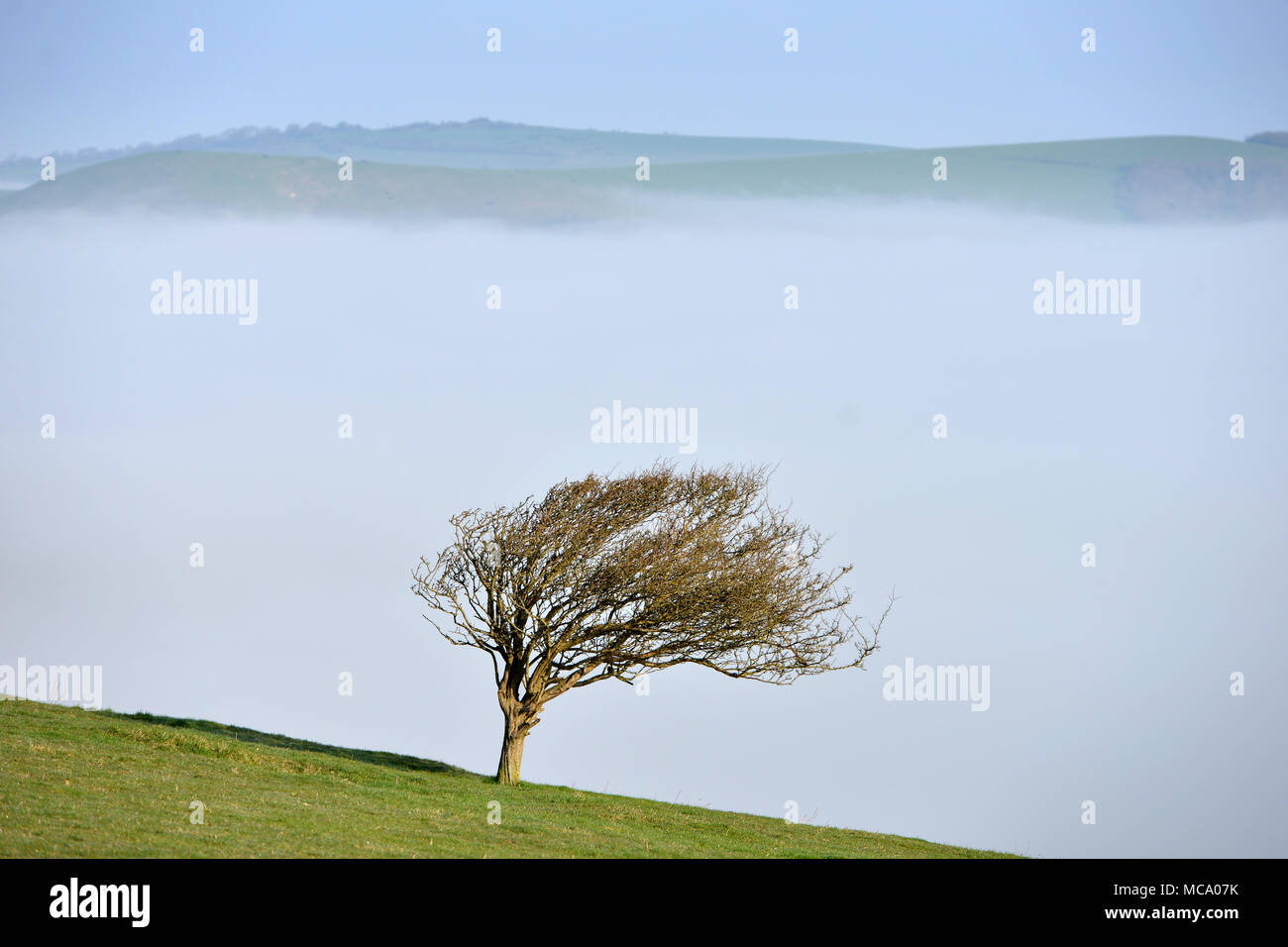 Firle, East Sussex. Il 14 aprile 2018. Il South Downs sorge chiaro di bassa giacente mattina nebbia che copre il basso Weald su una luminosa mattina di primavera. © Peter Cripps/Alamy Live News Foto Stock