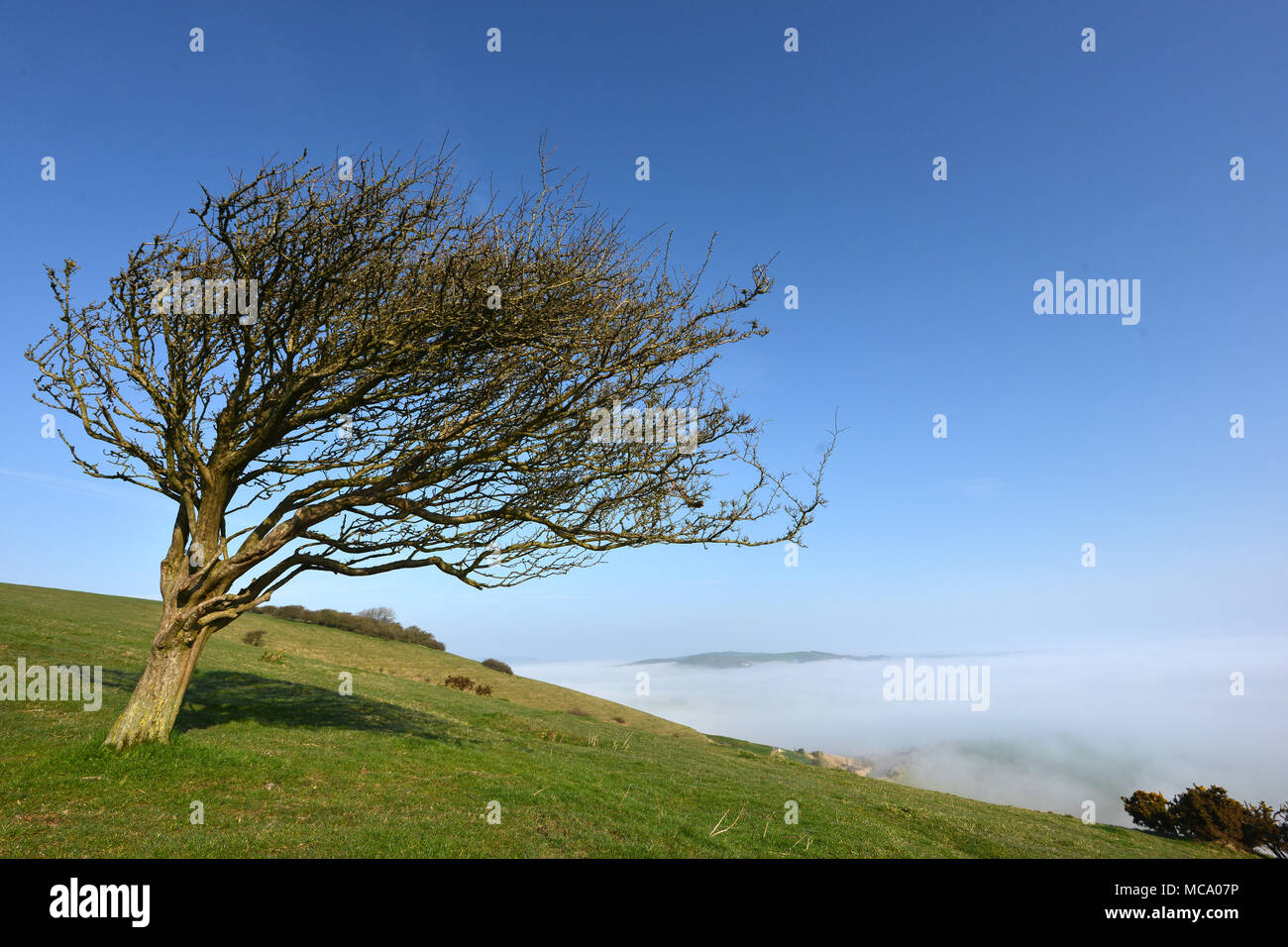 Firle, East Sussex. Il 14 aprile 2018. Il South Downs sorge chiaro di bassa giacente mattina nebbia che copre il basso Weald su una luminosa mattina di primavera. © Peter Cripps/Alamy Live News Foto Stock