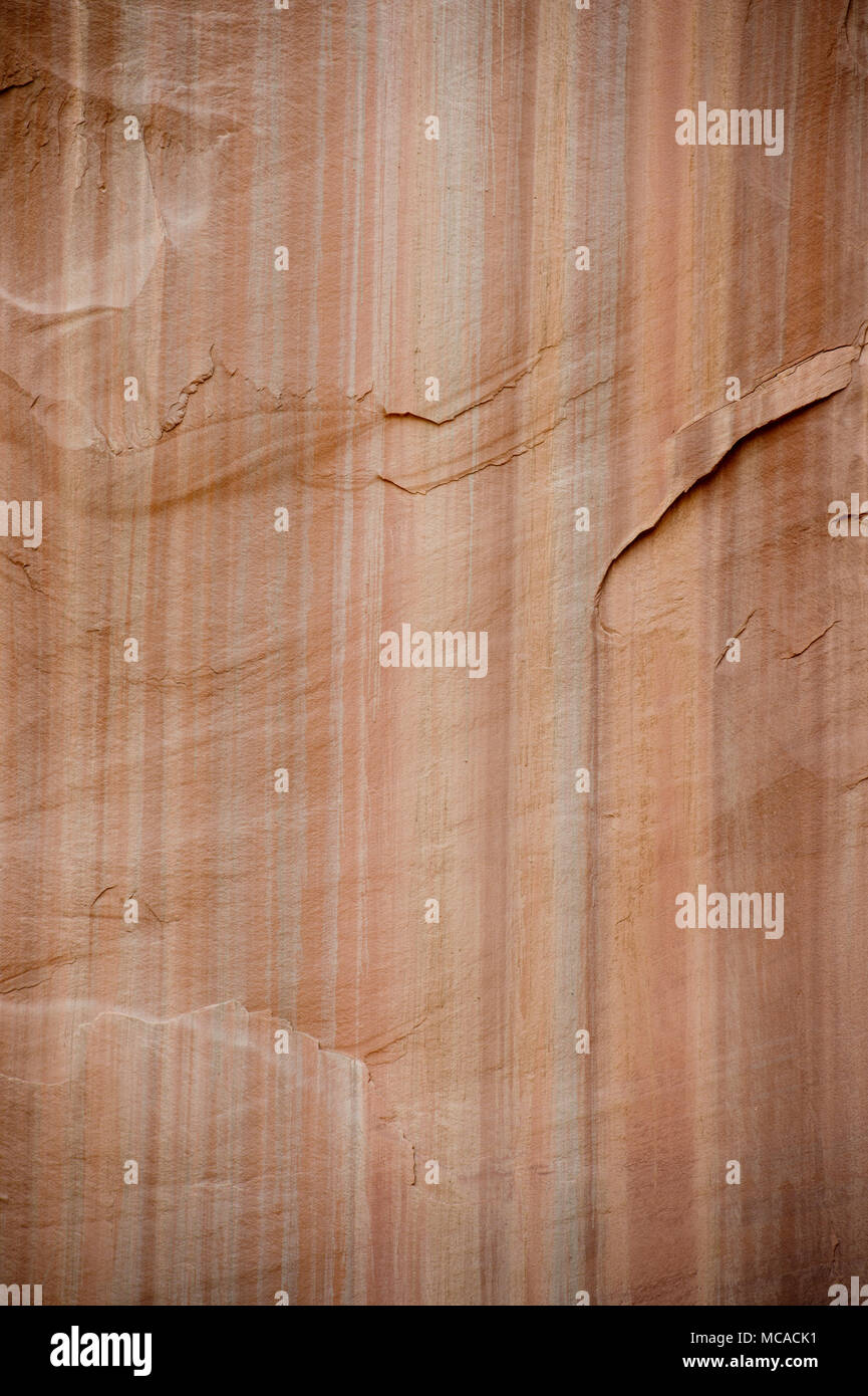 Vernice del deserto su pietra arenaria Navajo in grande scala/Escalante National Monument, Utah Foto Stock