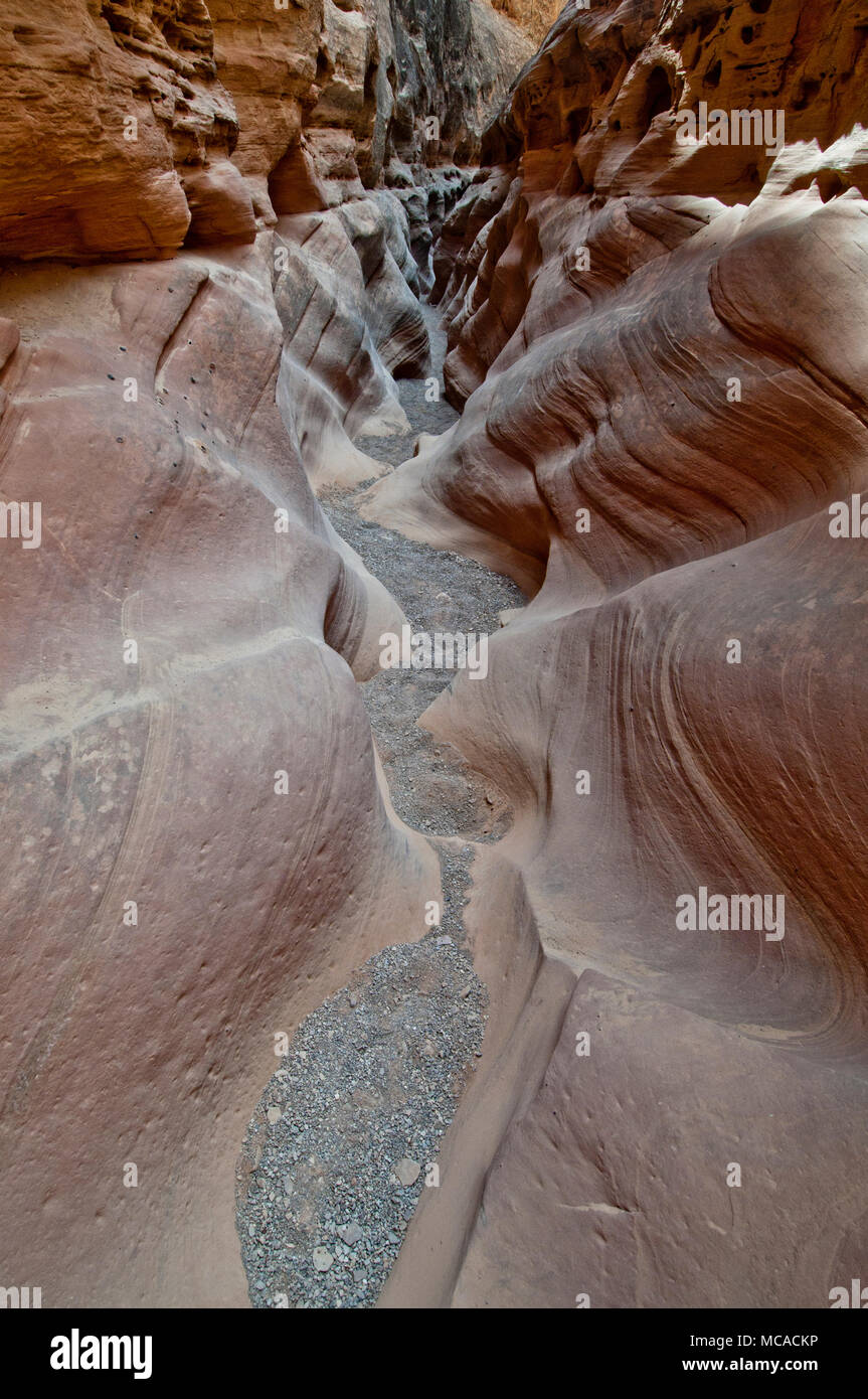 Poco Wildhorse Slot Canyon nel San Rafael si rigonfiano nella zona centrale dello Utah. Foto Stock